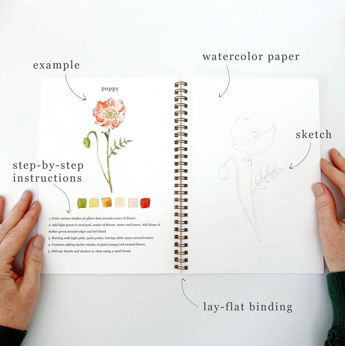 Emily Lex Watercolour Workbook