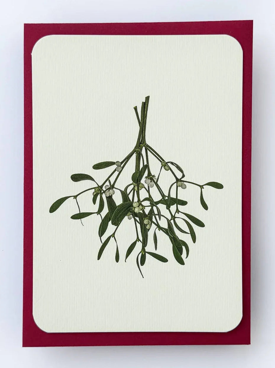 Hadley Paper Goods premium mistletoe greeting card, textured cream paper, red border