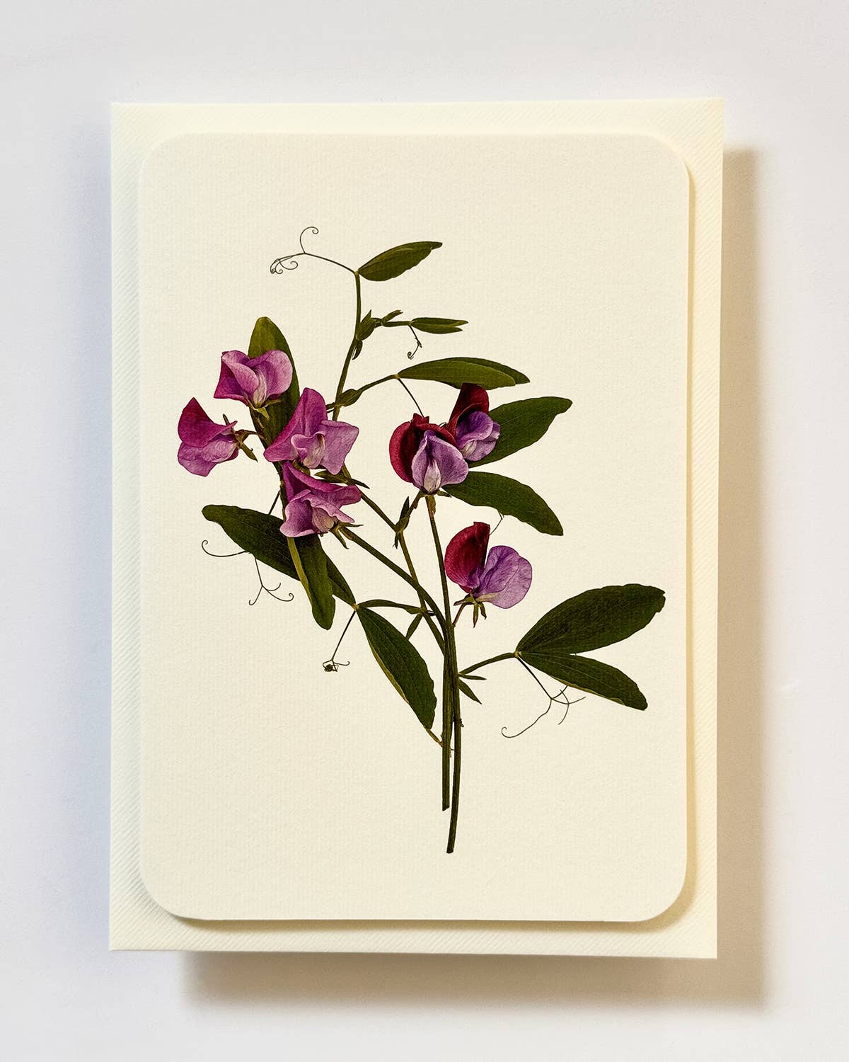 Violet Sweet Peas Greeting card | Birthday Card