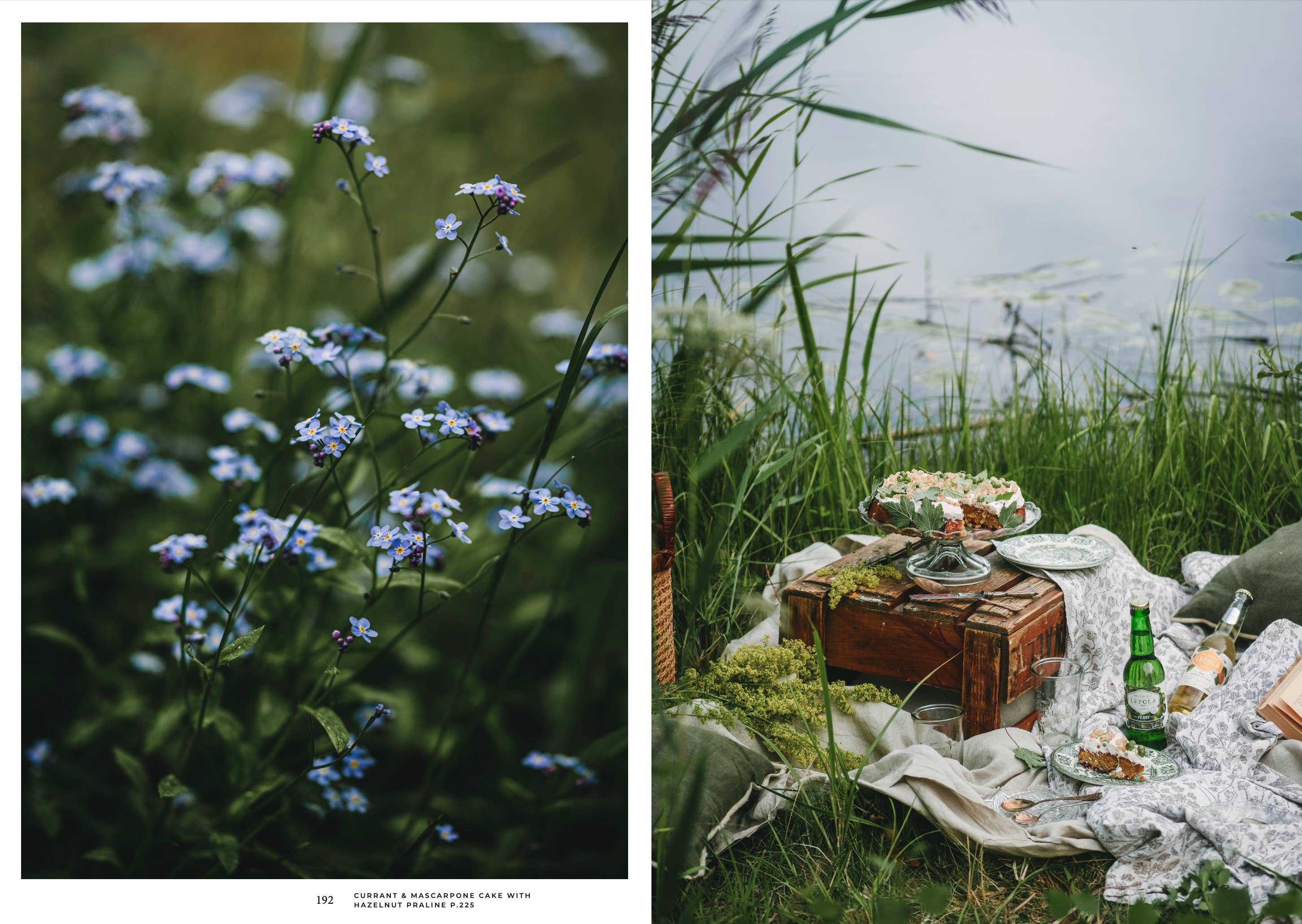 Nordic Summer Cookbook