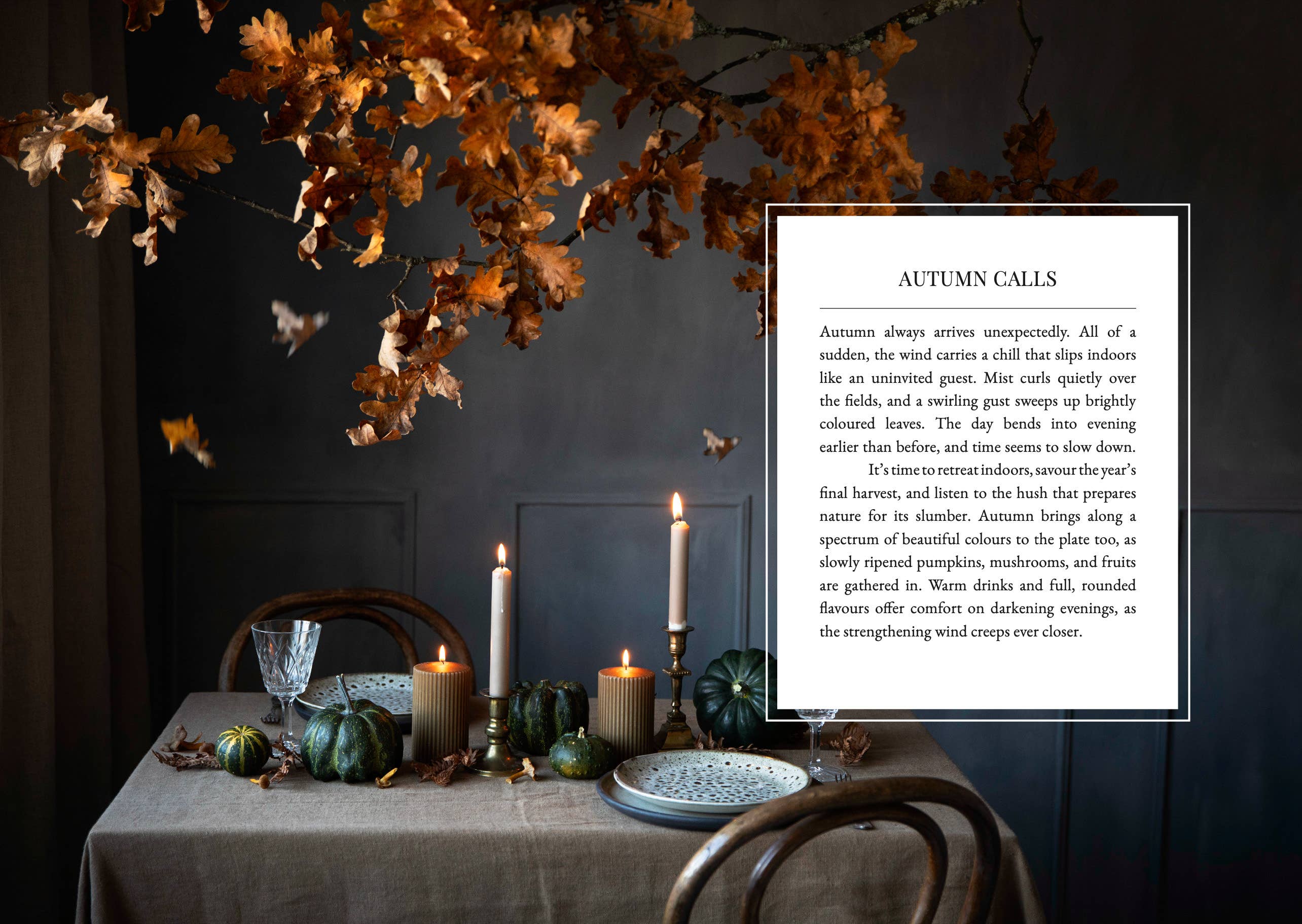 The Art of Fun Dining - Cookbook