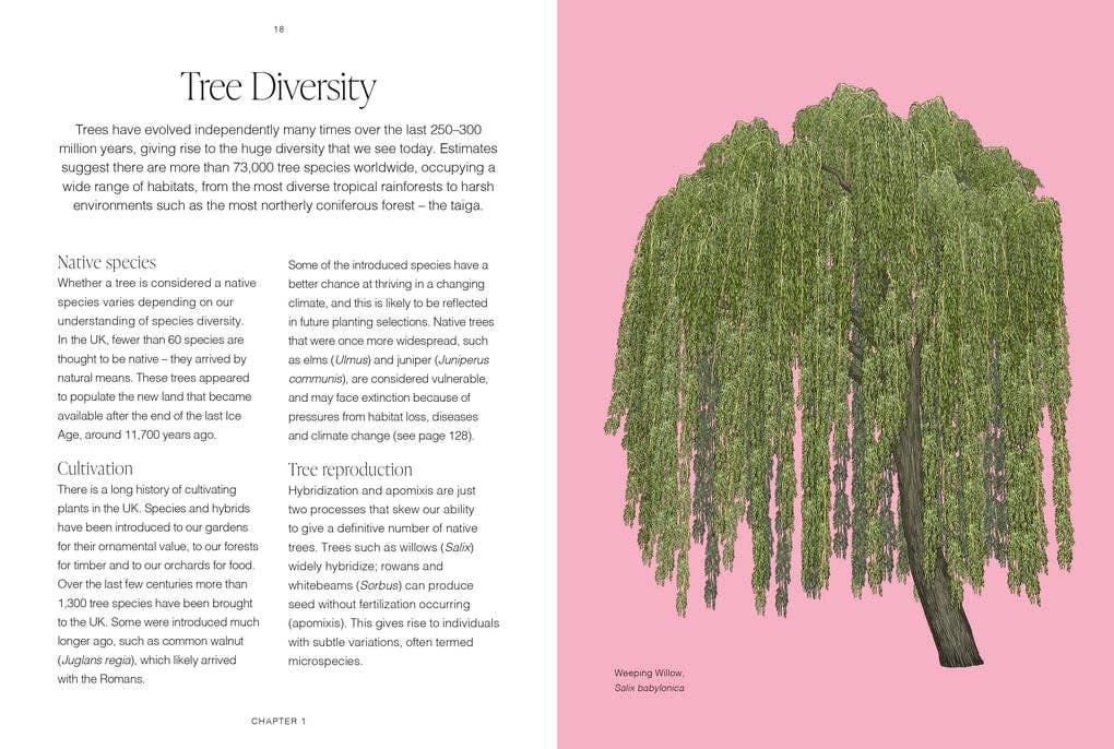 RHS Trees by Jordan Bilsborrow (Hardback)
: Hardback