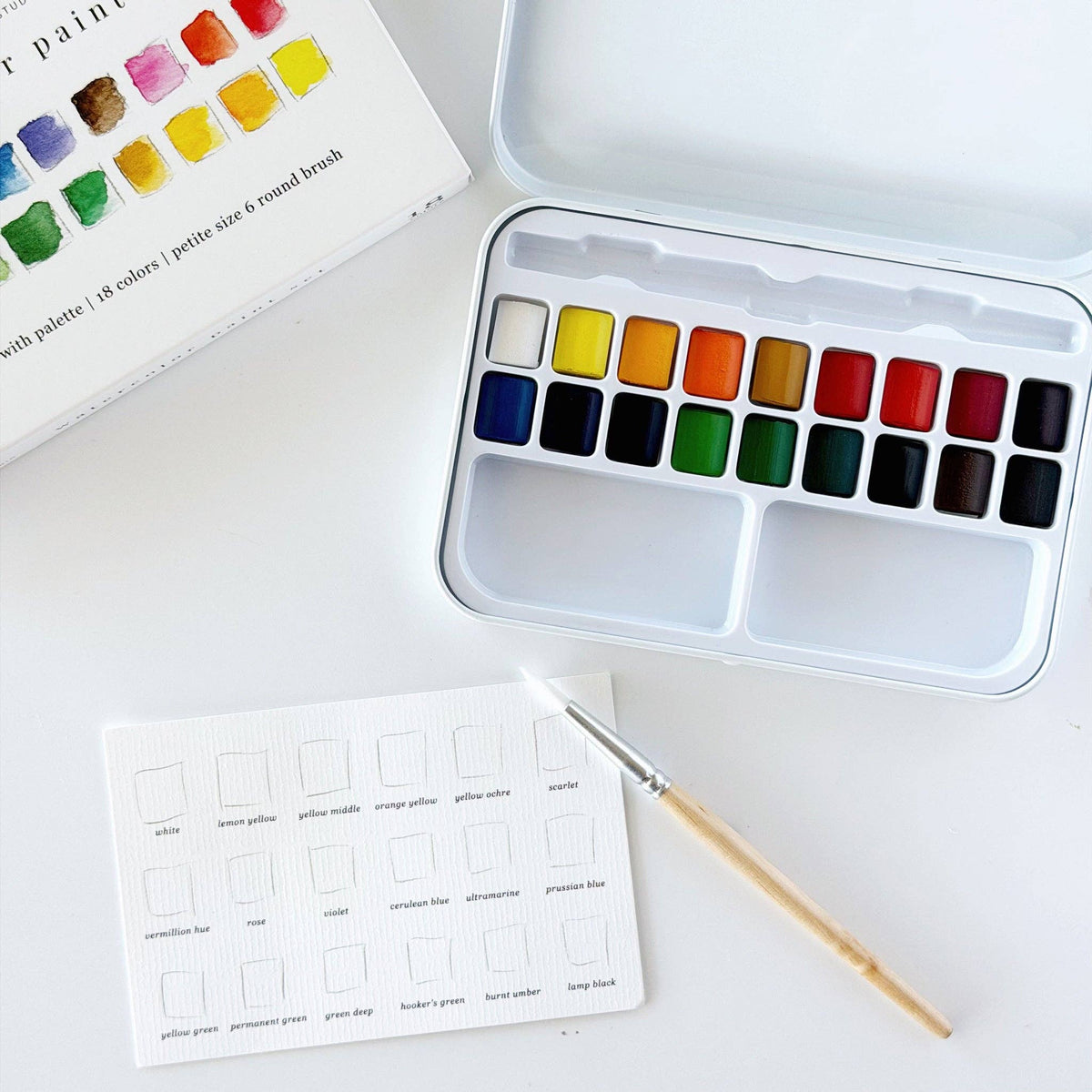 Emily Lex Studio Watercolour Paint Set