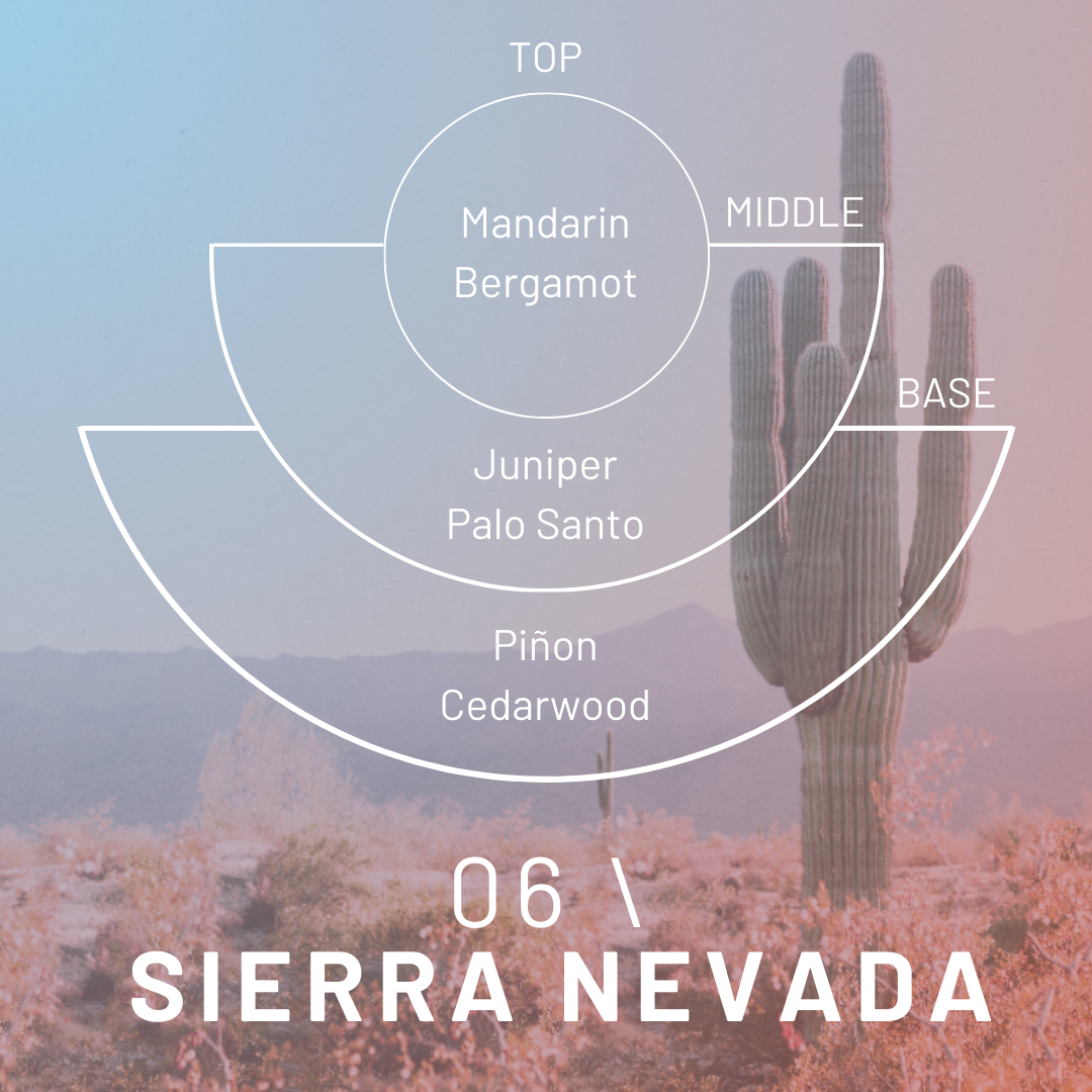 Sierra Nevada Candle: Mandarin, Juniper Scented Soy Candle