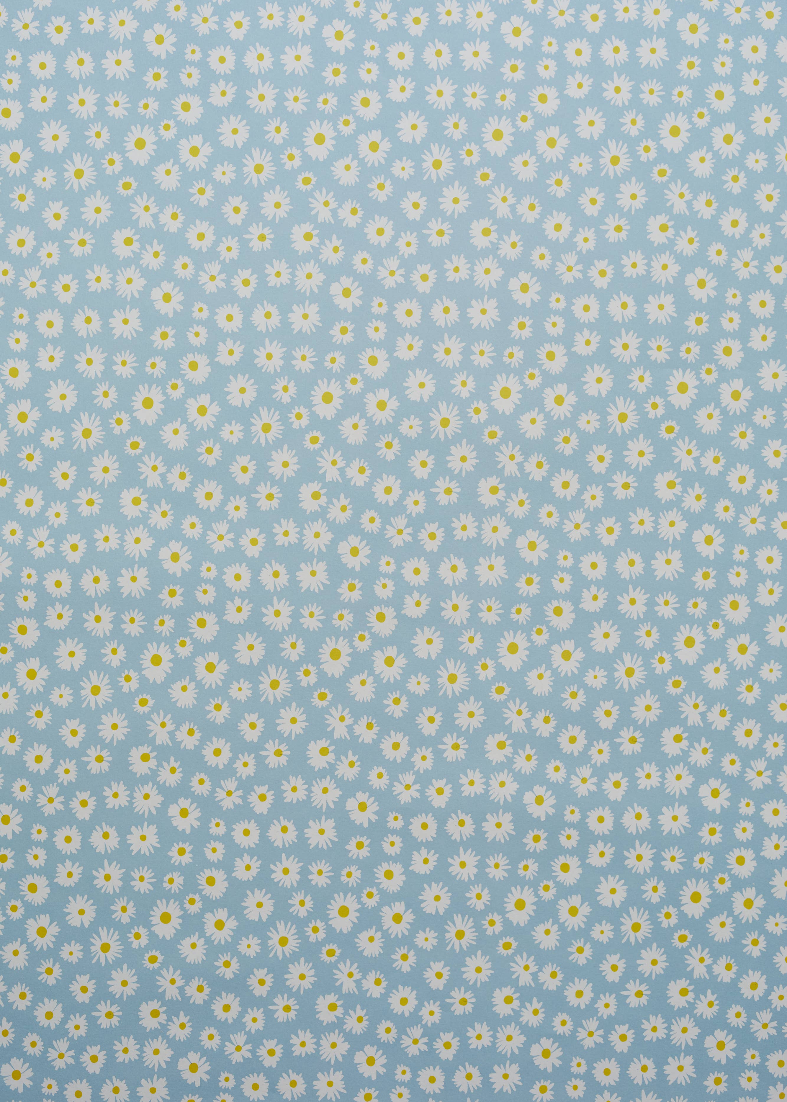 Daisy Gift Wrap in Blue