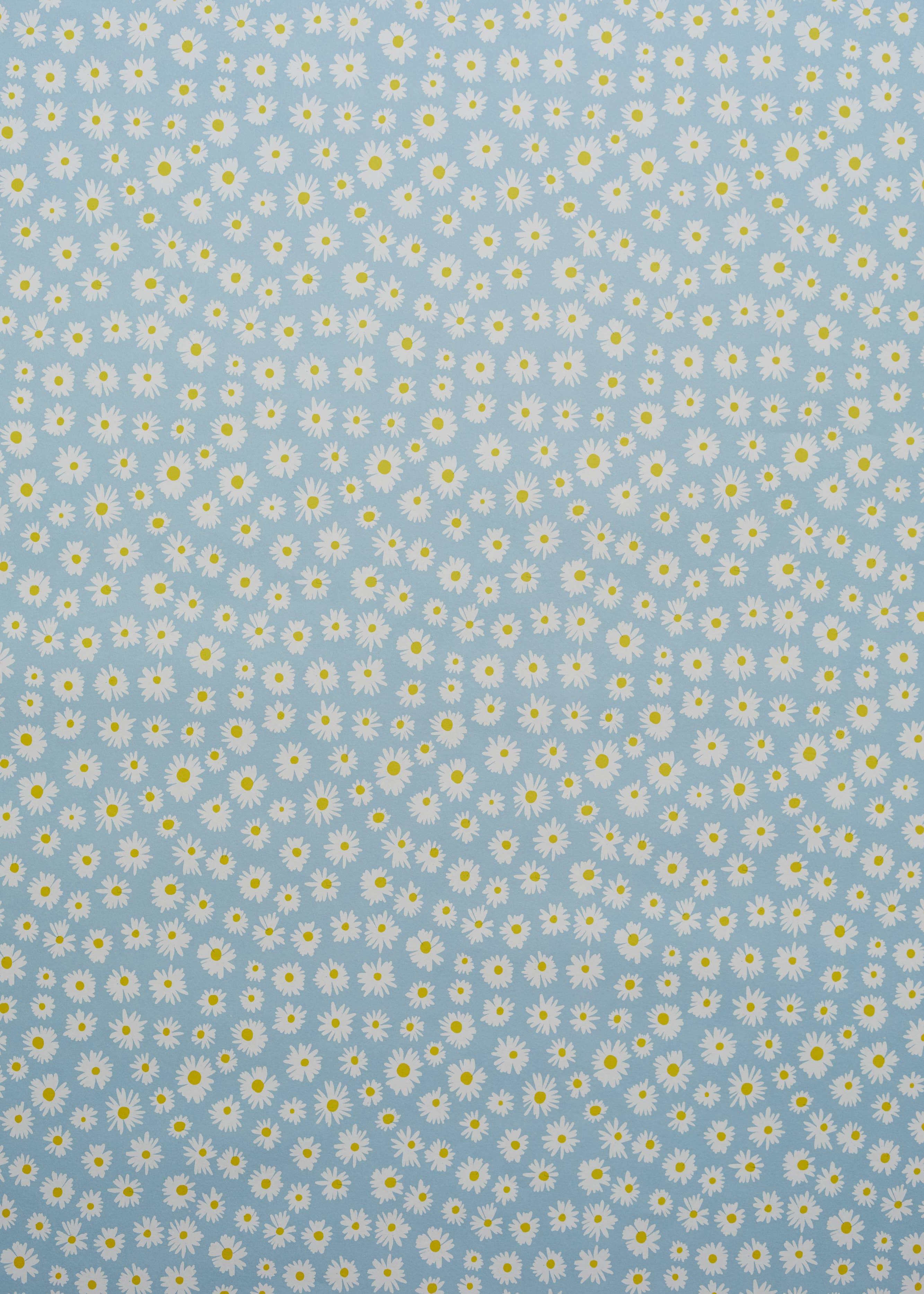 Rifle Paper Co. blue daisy floral print paper with white and yellow flowers, premium design