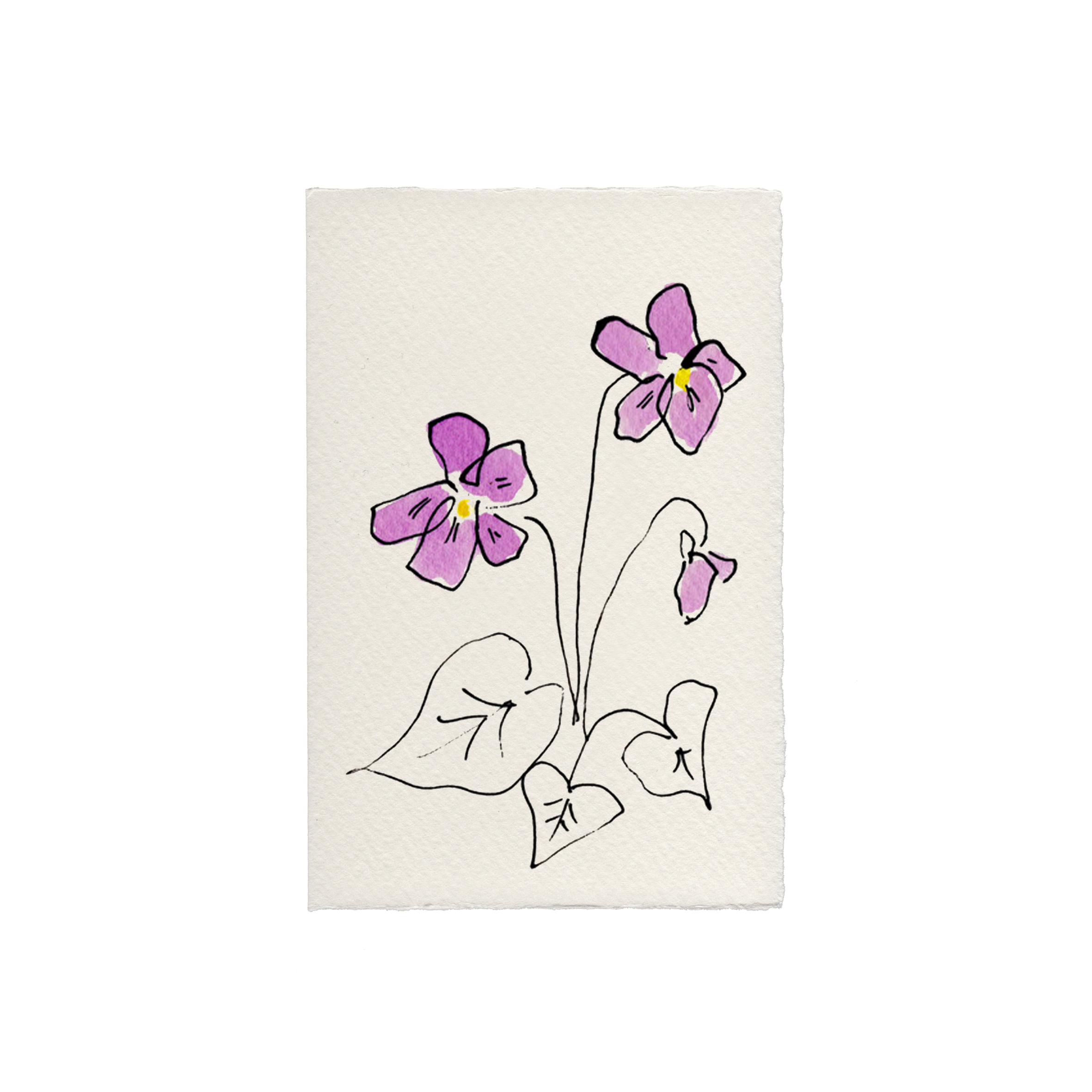 Violet - Scribble & Daub