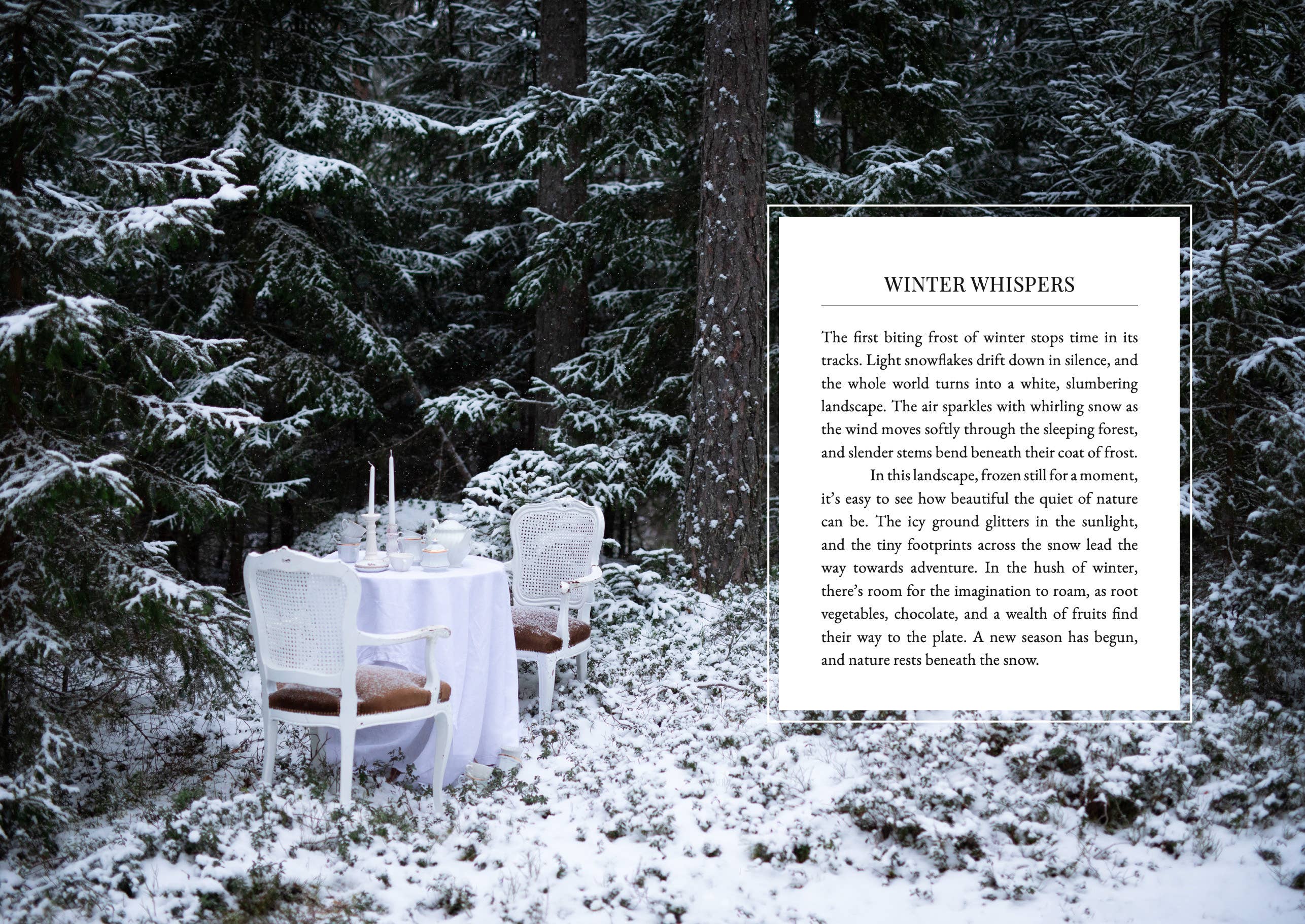 The Art of Fun Dining - Cookbook