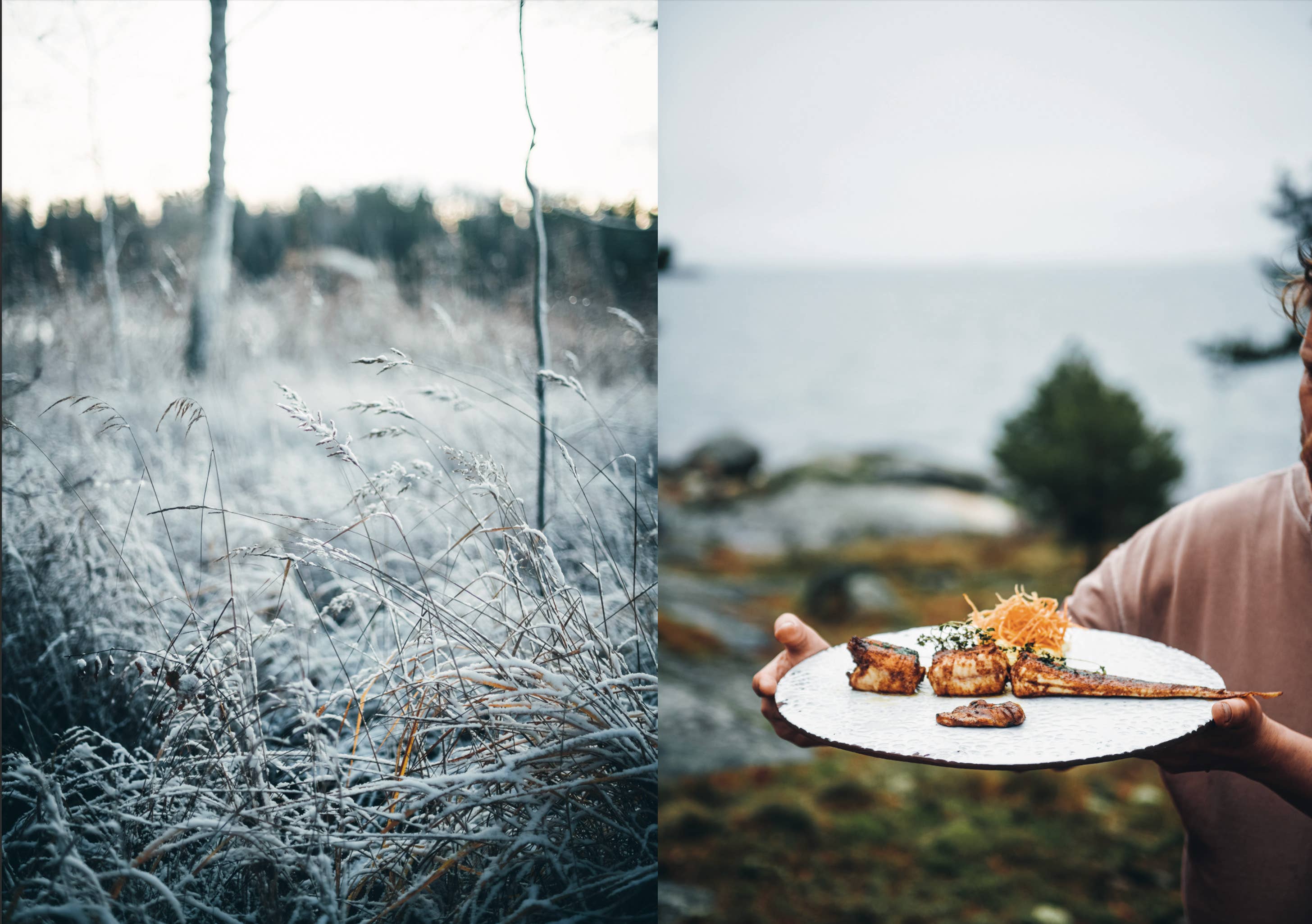 Cookbook: Chef’s Wild Nordic – Recipes for 72 Micro-Seasons