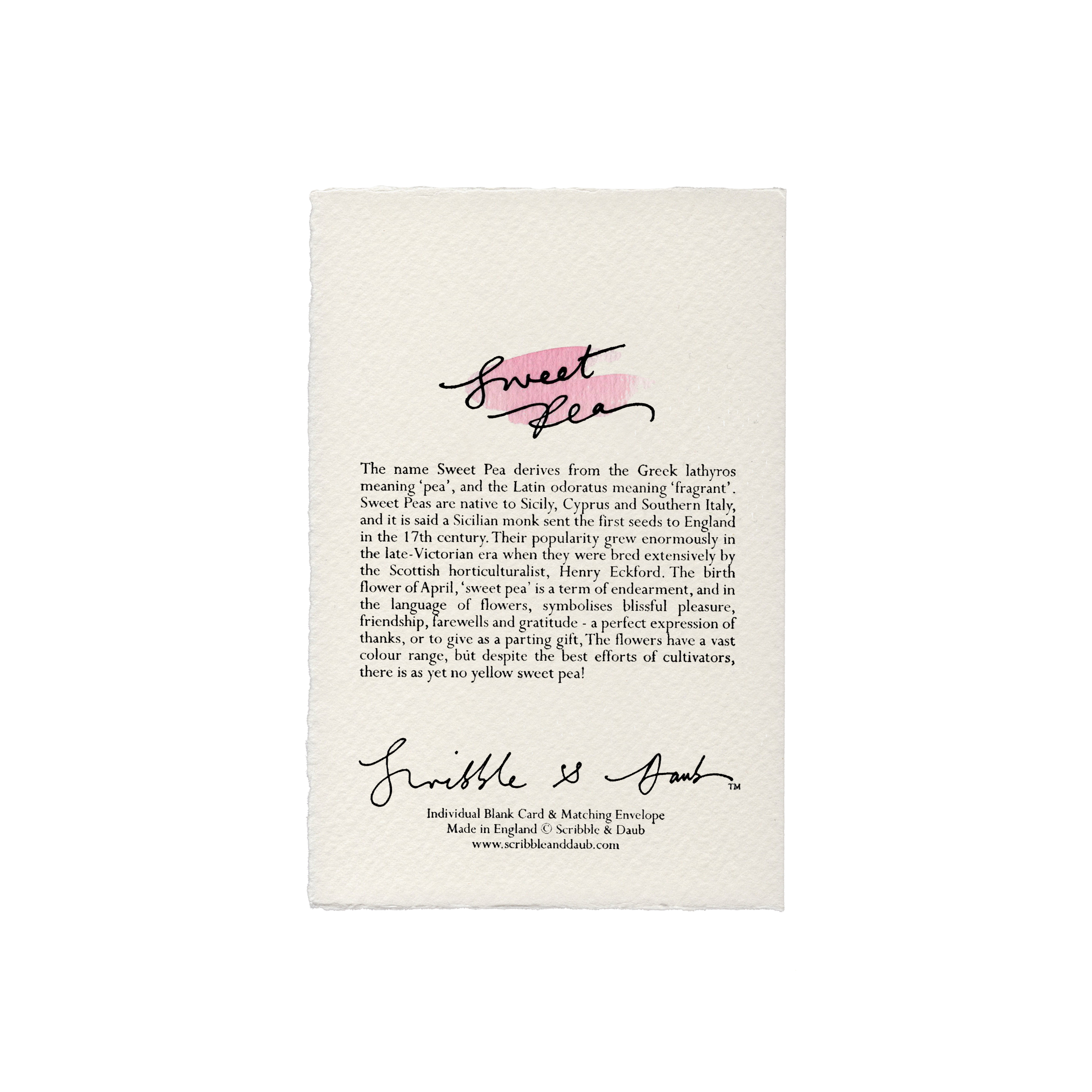 Sweet Pea Greetings Card: Candy Pink