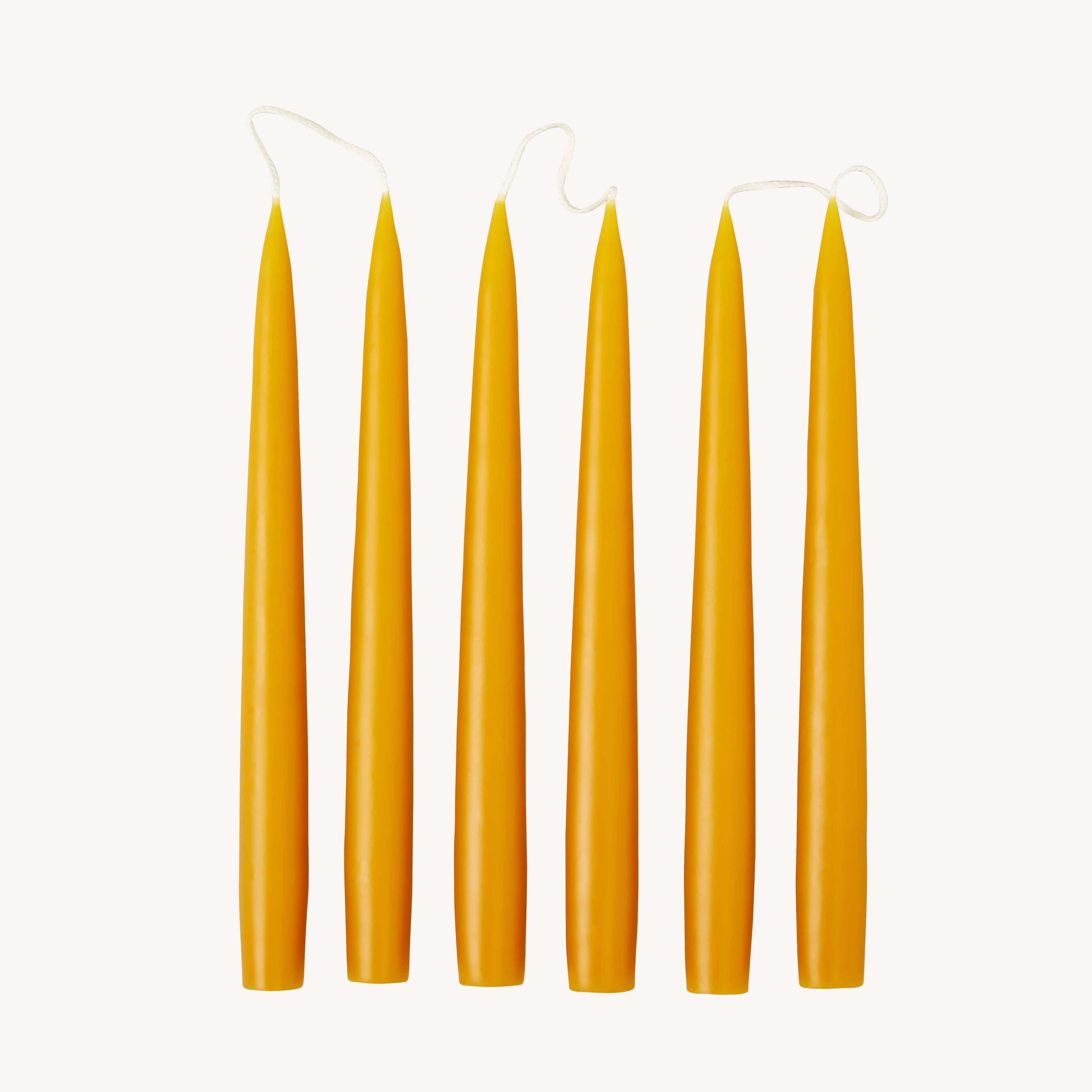 Box of 6 Candles - Taper 25 - Honey