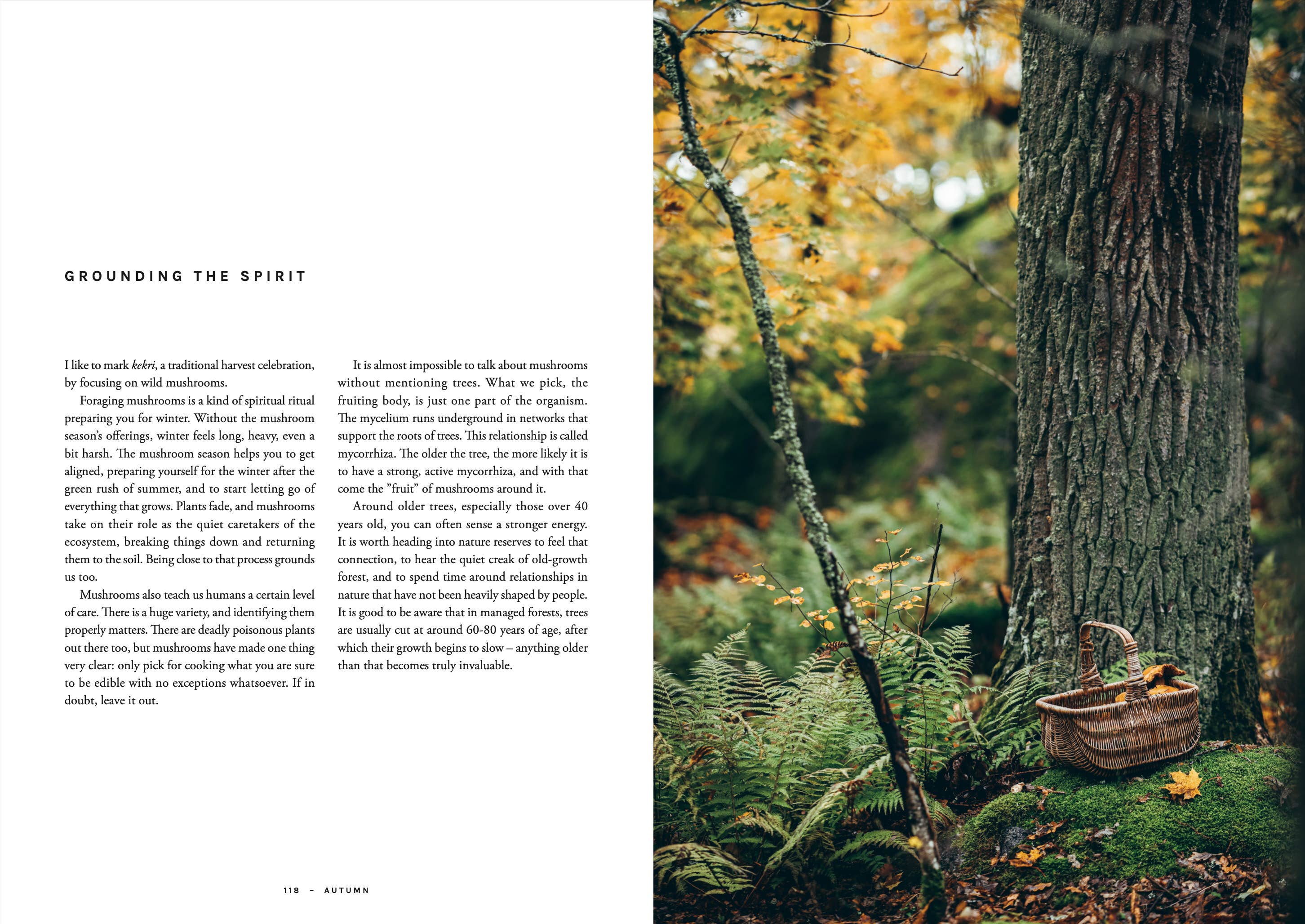 Cookbook: Chef’s Wild Nordic – Recipes for 72 Micro-Seasons
