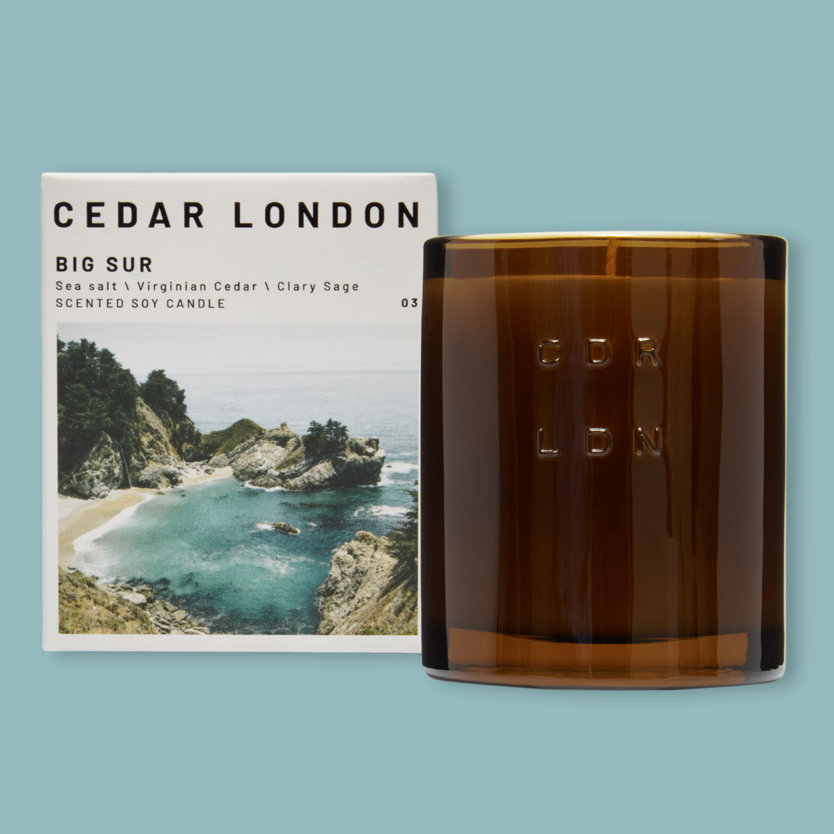 Big Sur Candle: Sea Salt, Sage, Cedarwood Scented Soy Candle