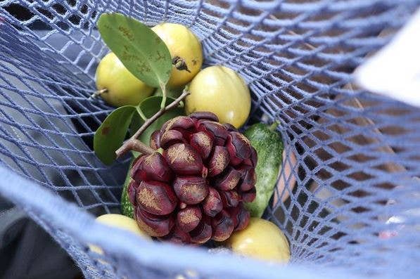 Net Shopping Bag Blue Jeans - Filt1860