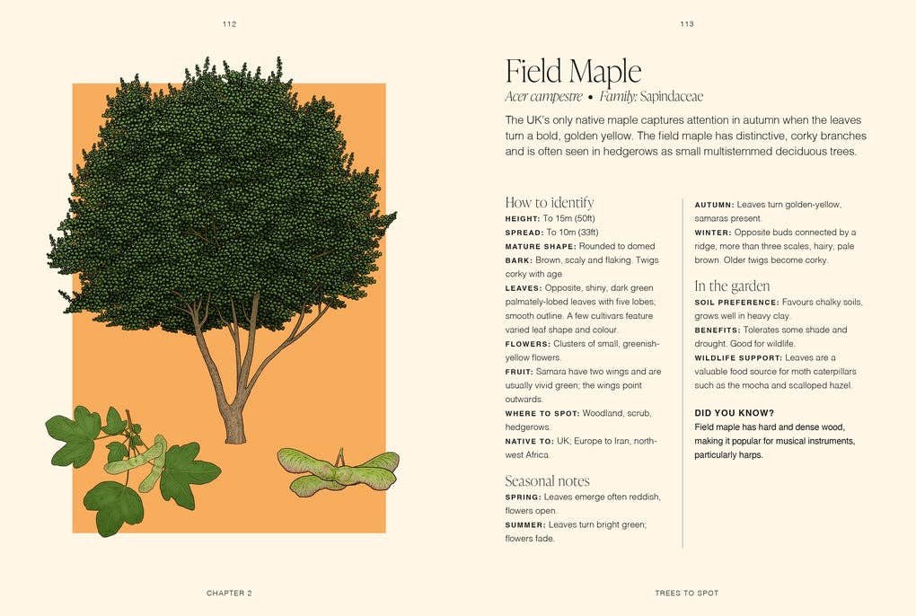 RHS Trees by Jordan Bilsborrow (Hardback)
: Hardback
