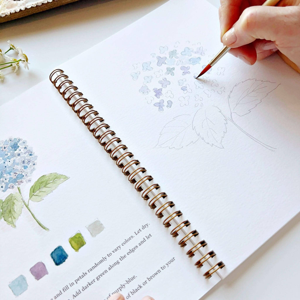 Emily Lex Watercolour Workbook
