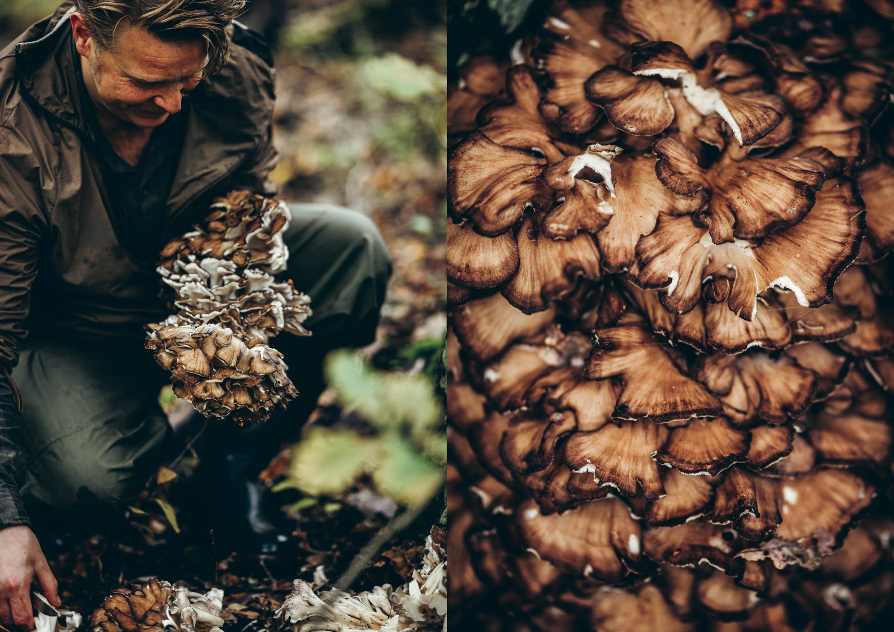 Cookbook: Chef’s Wild Nordic – Recipes for 72 Micro-Seasons