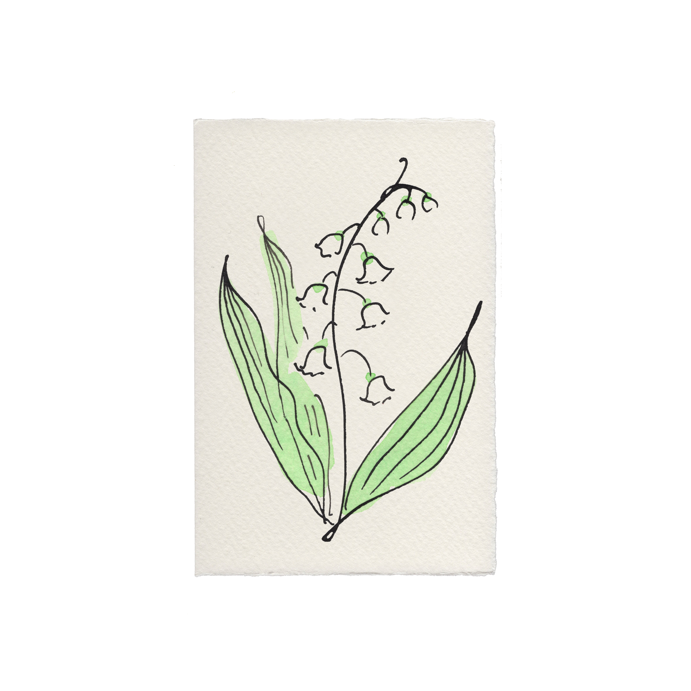 Lily of the Valley (Language of Flowers) Spring Card