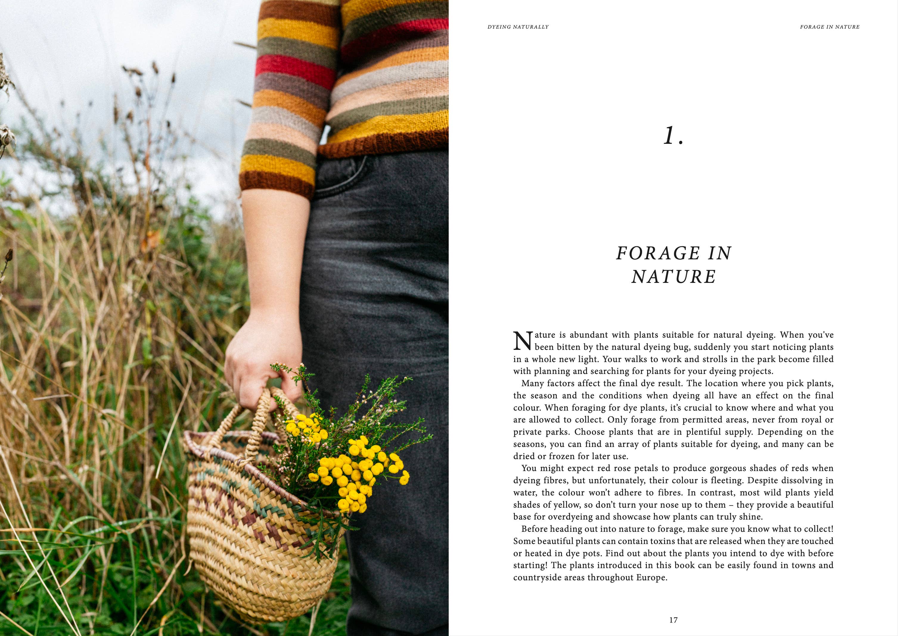 Crafts & Knitting: Dyeing Naturally