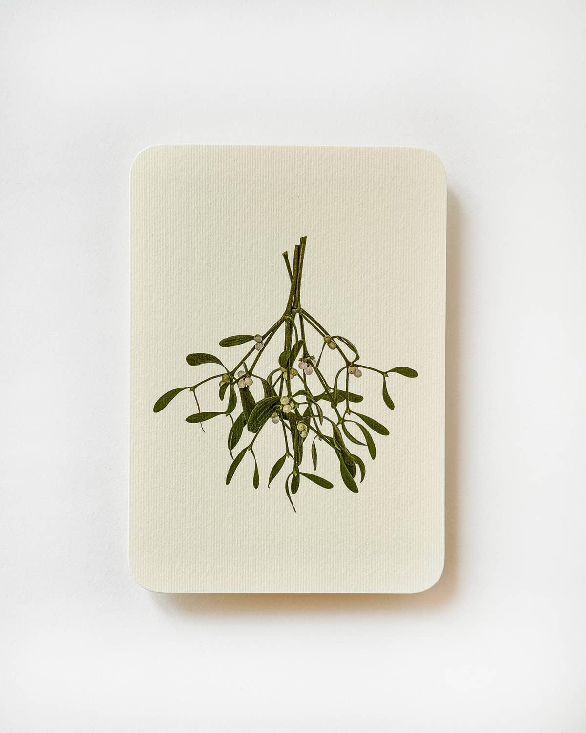 Macon & Lesquoy greeting card made of textured cream paper, mistletoe illustration