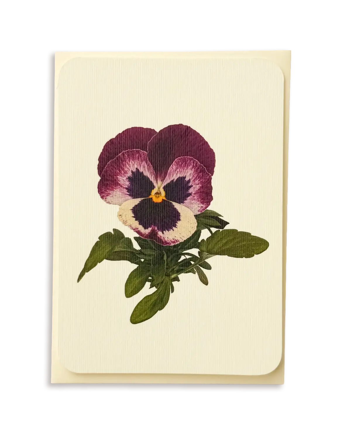 Pansy I Greeting Card | Birthday Card