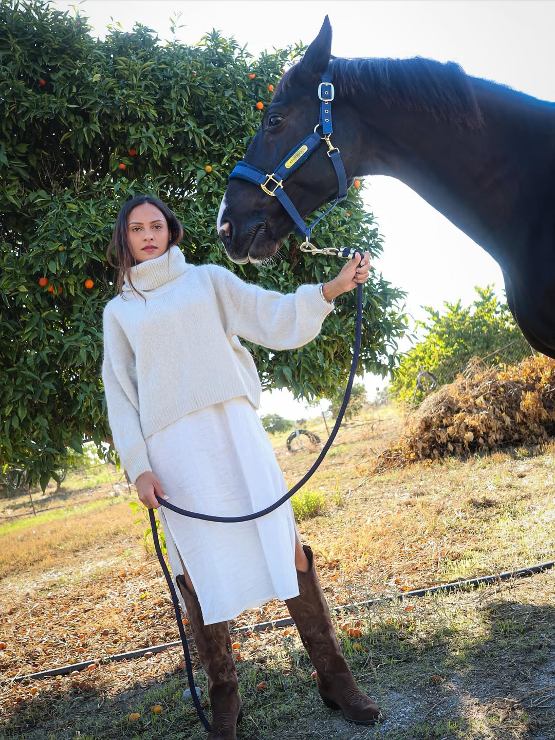 Andrea Rollneck Cropped Alpaca Pullover - American Dreams