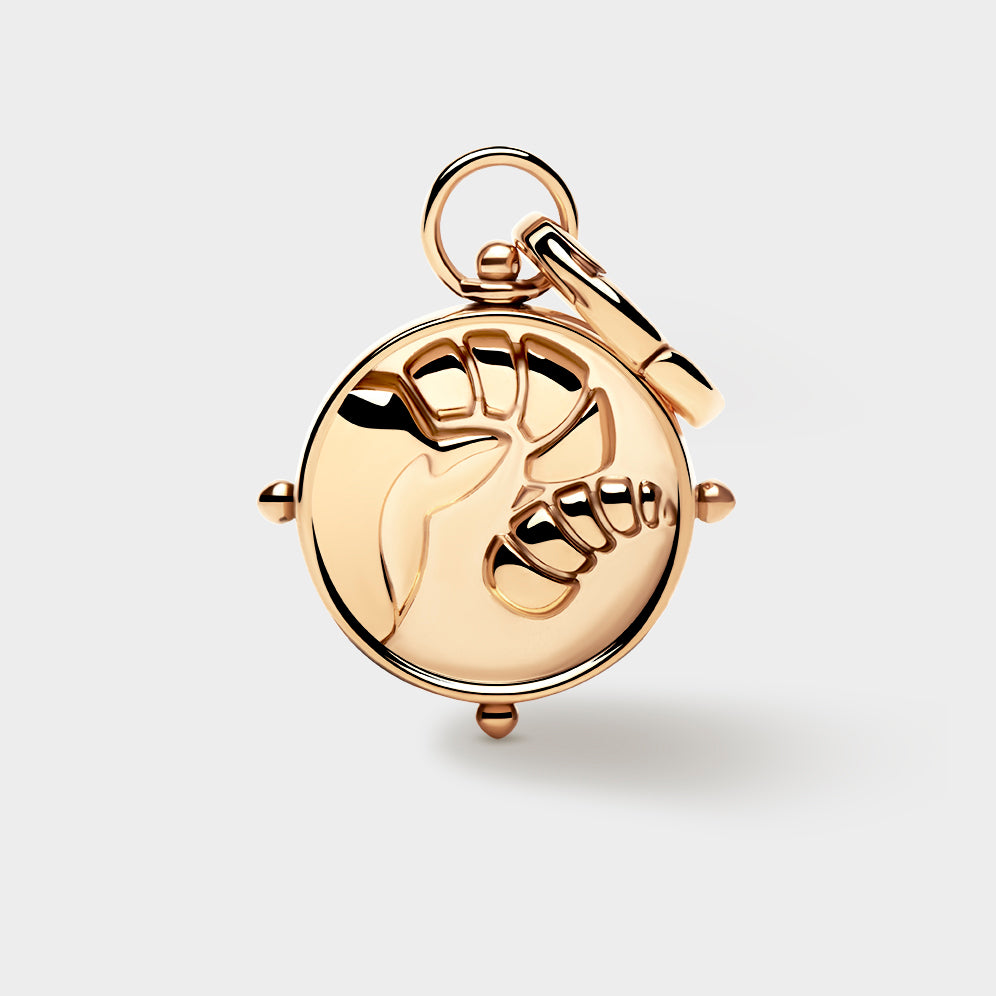 Aries Zodiac Charm - Coluri