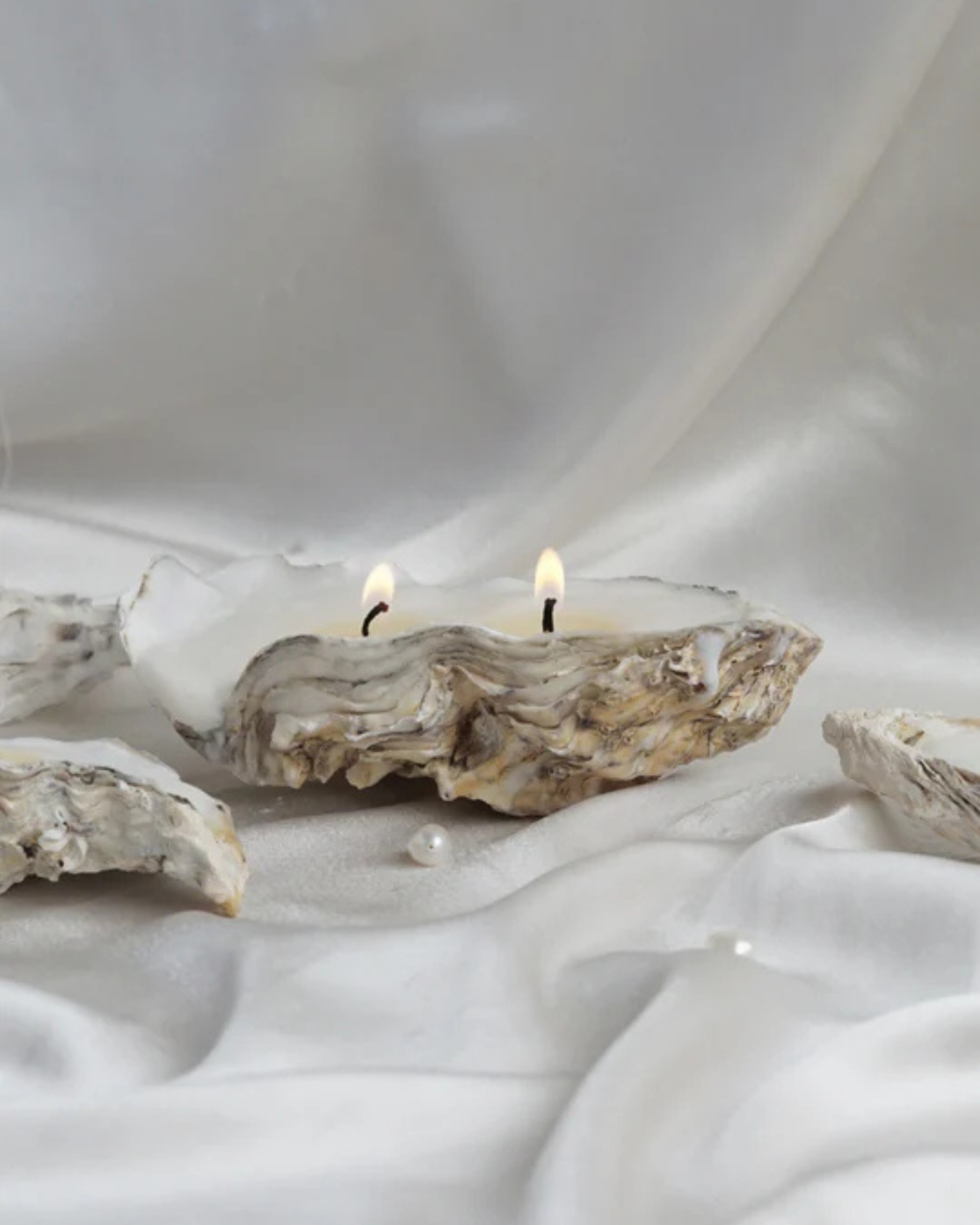 Oyster shell candle - 2 wicks: 1 Pc