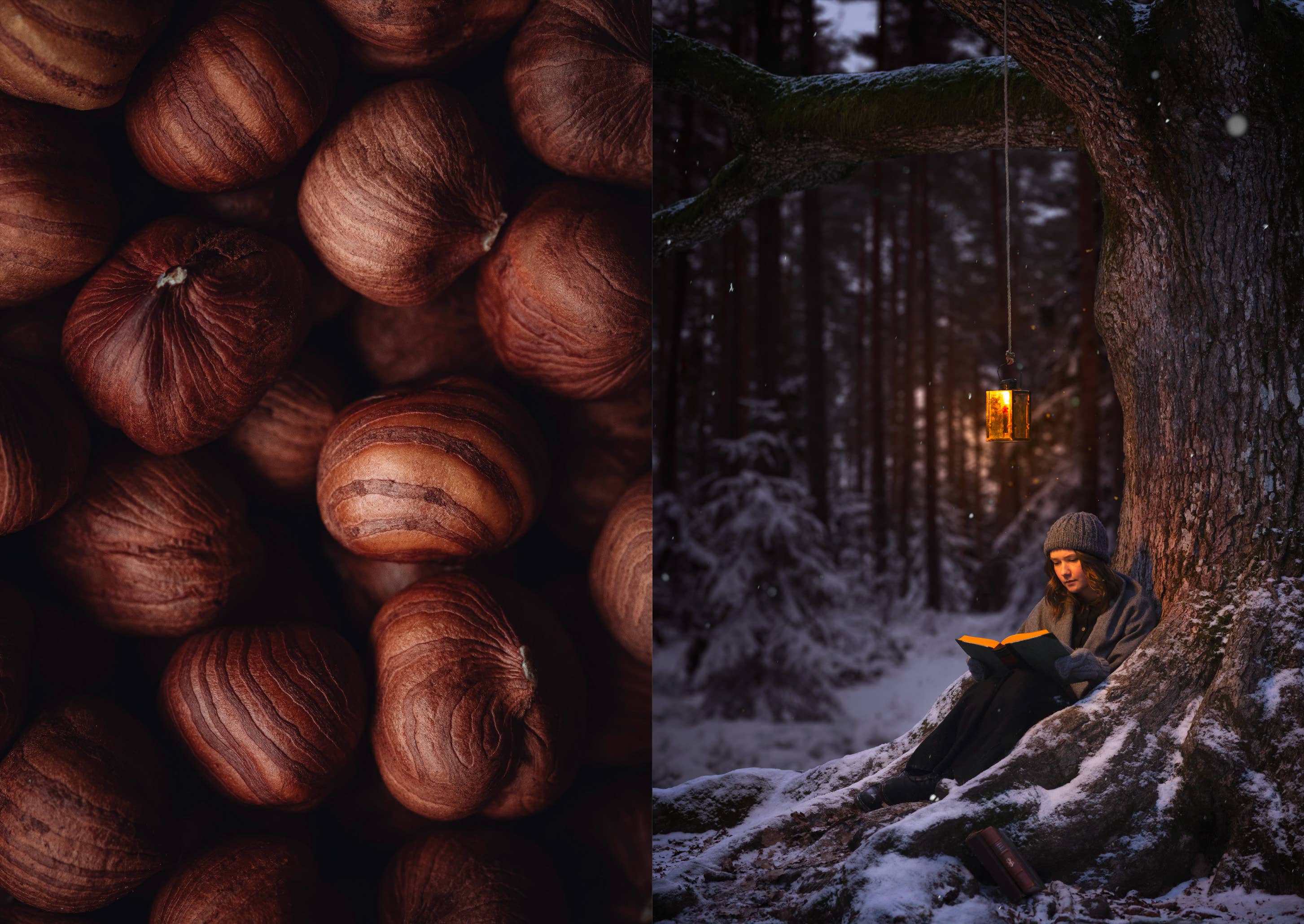 The Art of Fun Dining - Cookbook