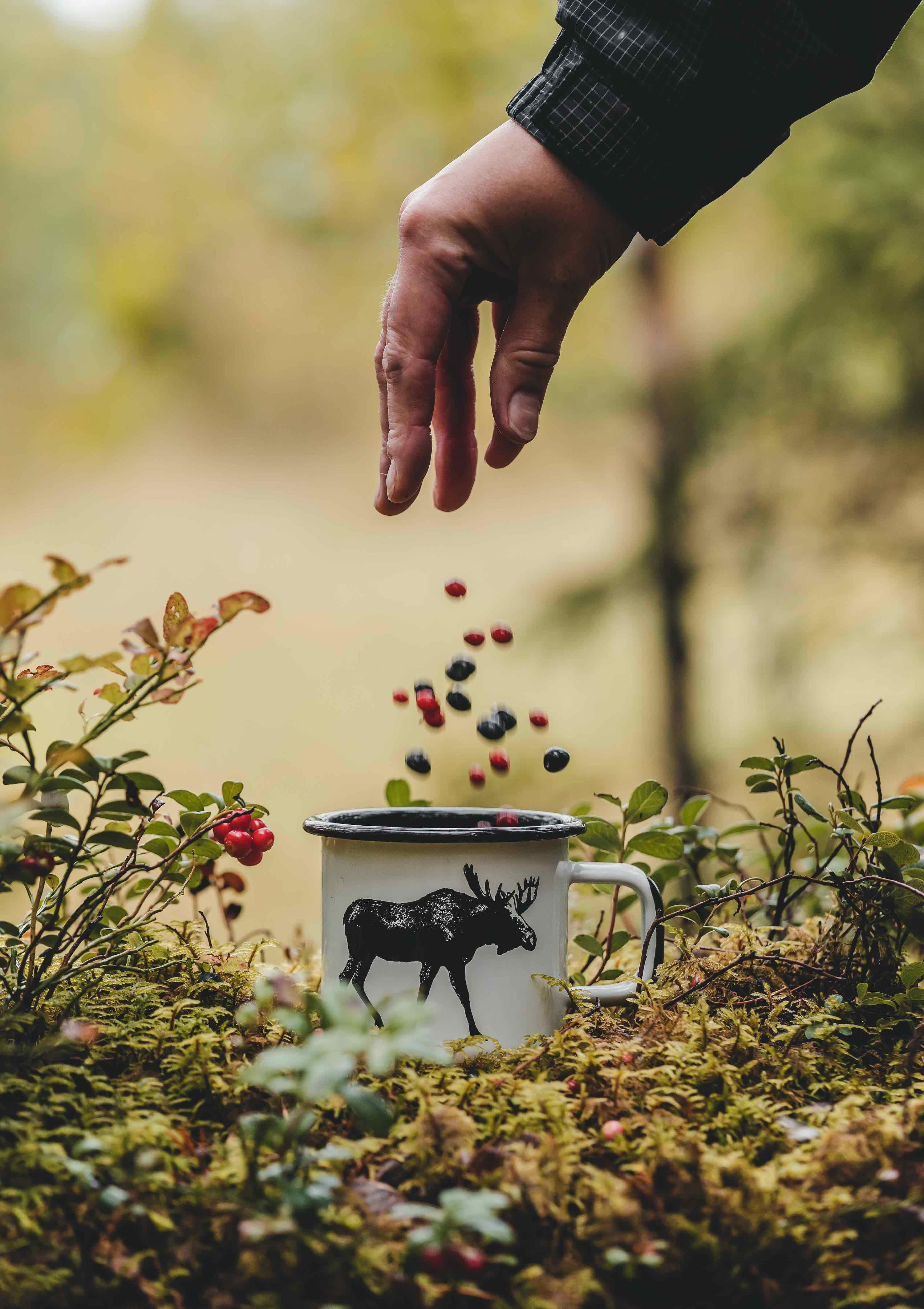 Moose motif enamel camping mug outdoors with blueberries and lingonberries falling in