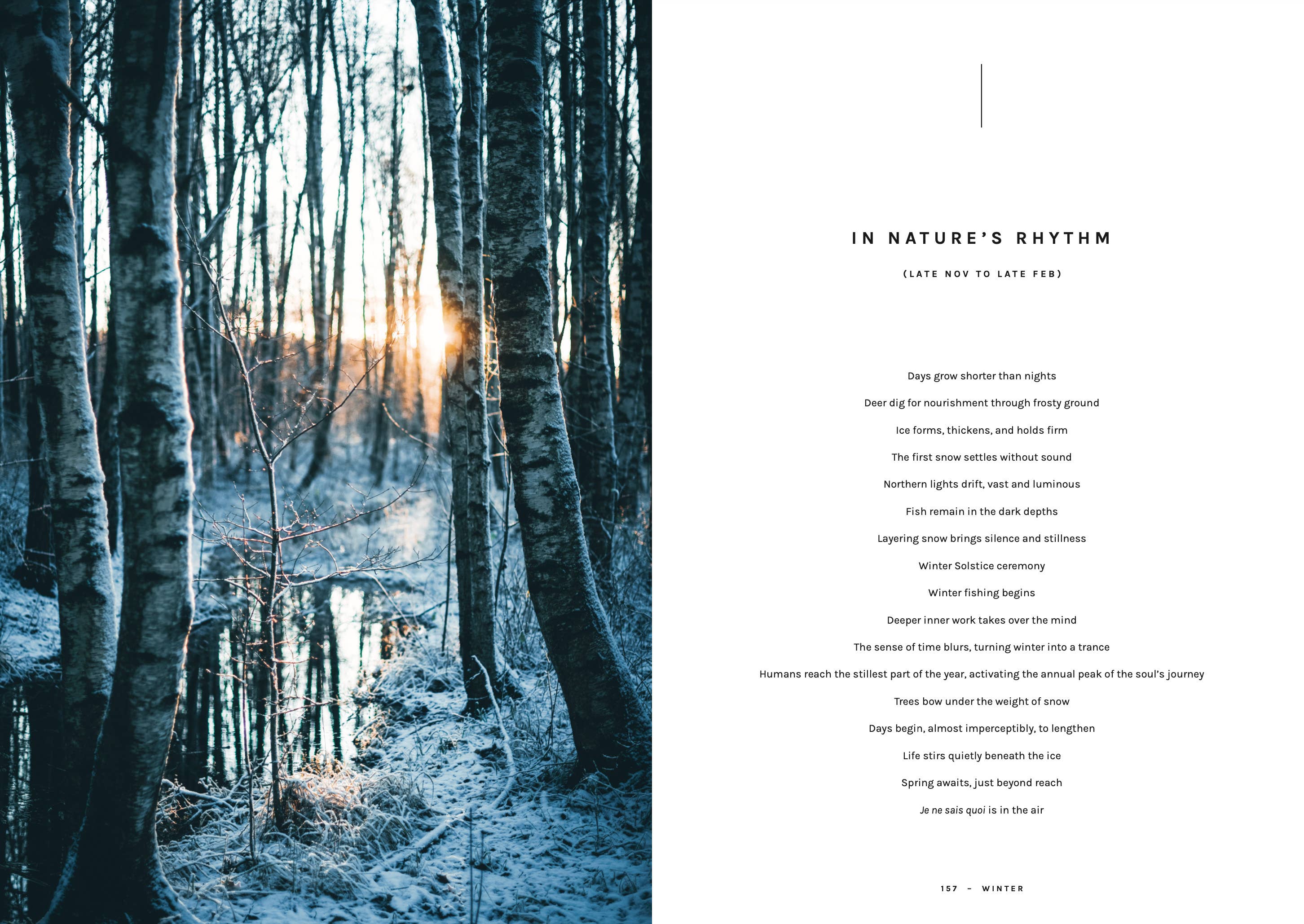 Cookbook: Chef’s Wild Nordic – Recipes for 72 Micro-Seasons