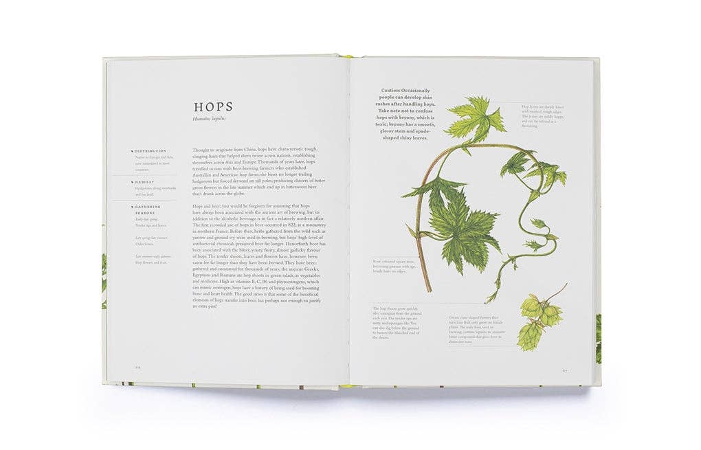 Forage by Liz Knight (Hardback)
: Hardback