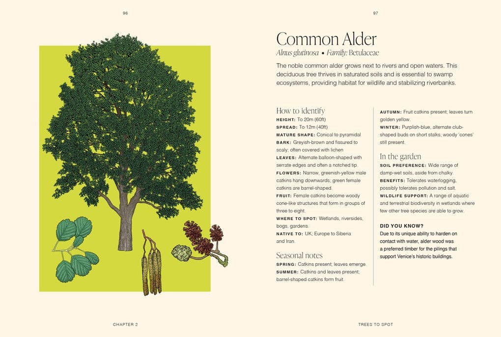 RHS Trees by Jordan Bilsborrow (Hardback)
: Hardback