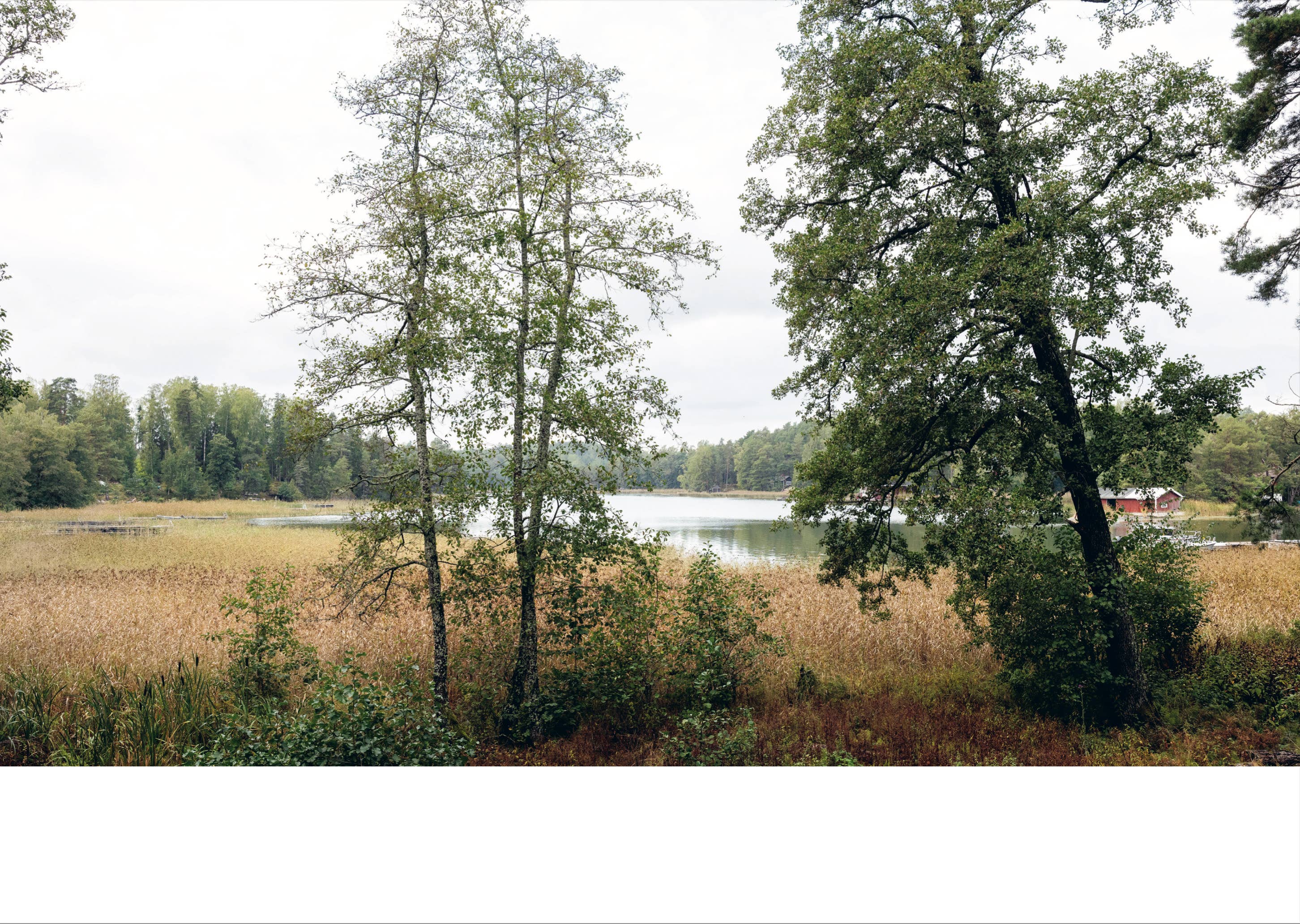 Interior Book: Drifting Through Nordic Islands