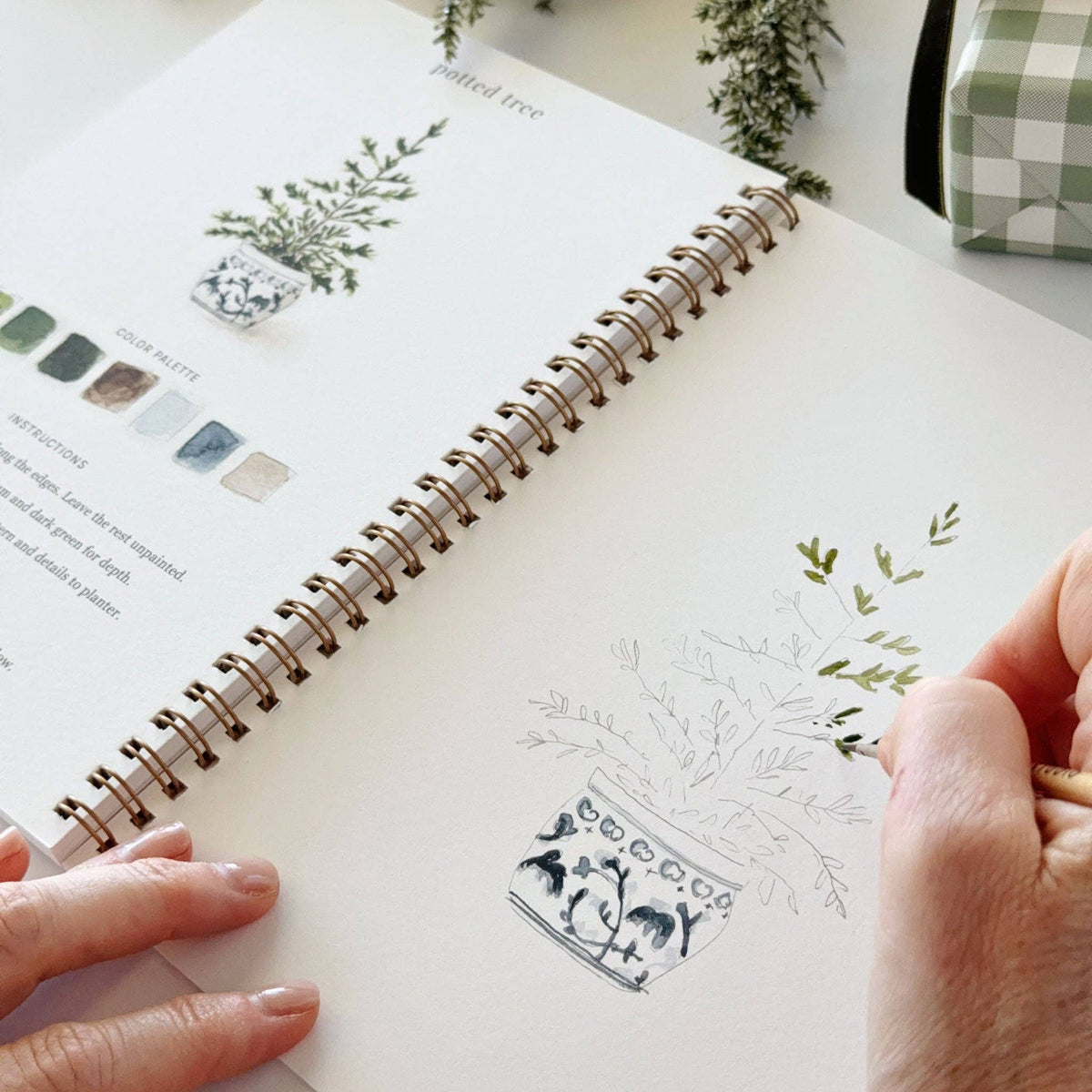 Emily Lex Watercolour Workbook