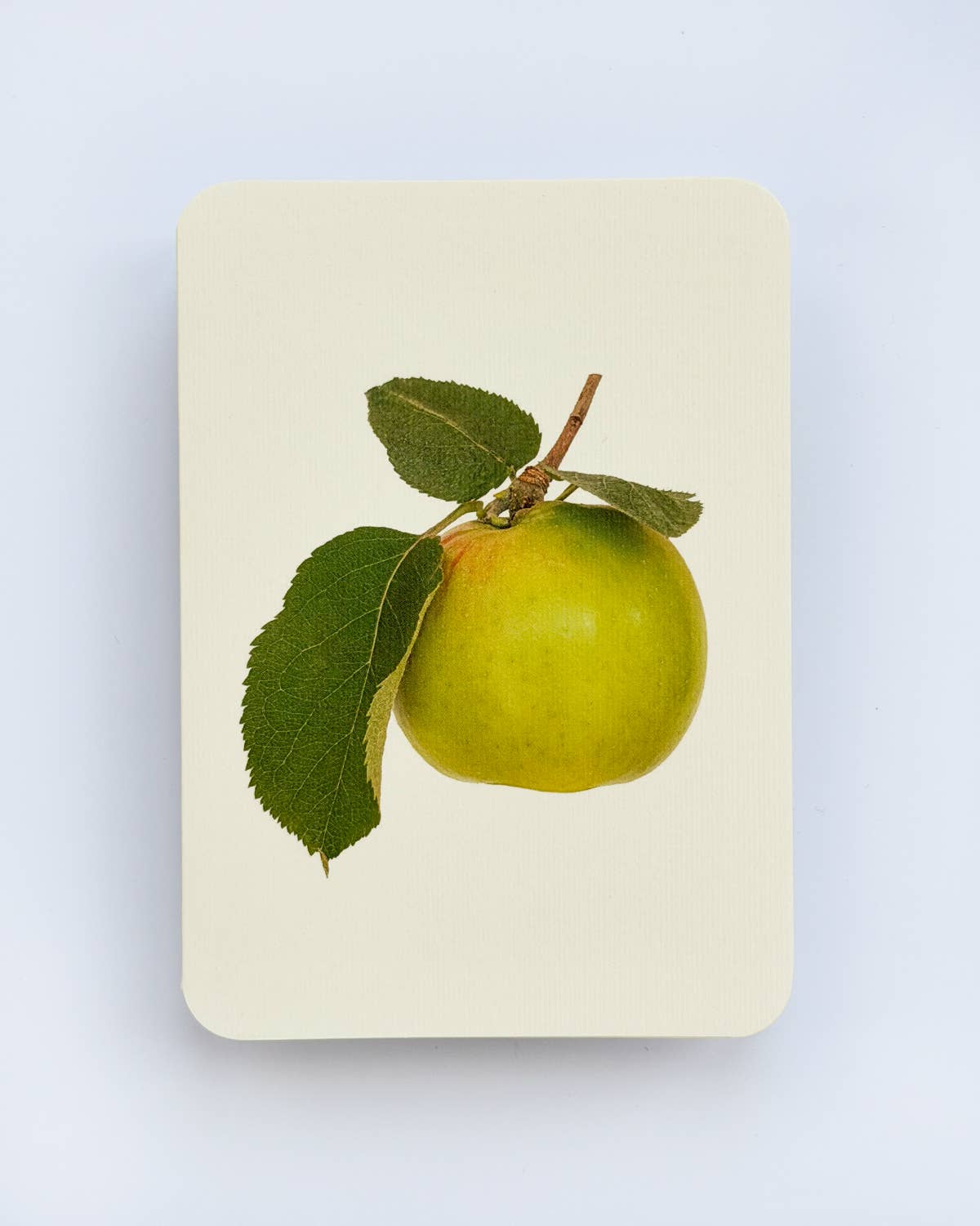 Bramley Apple Greeting Card | Birthday Card