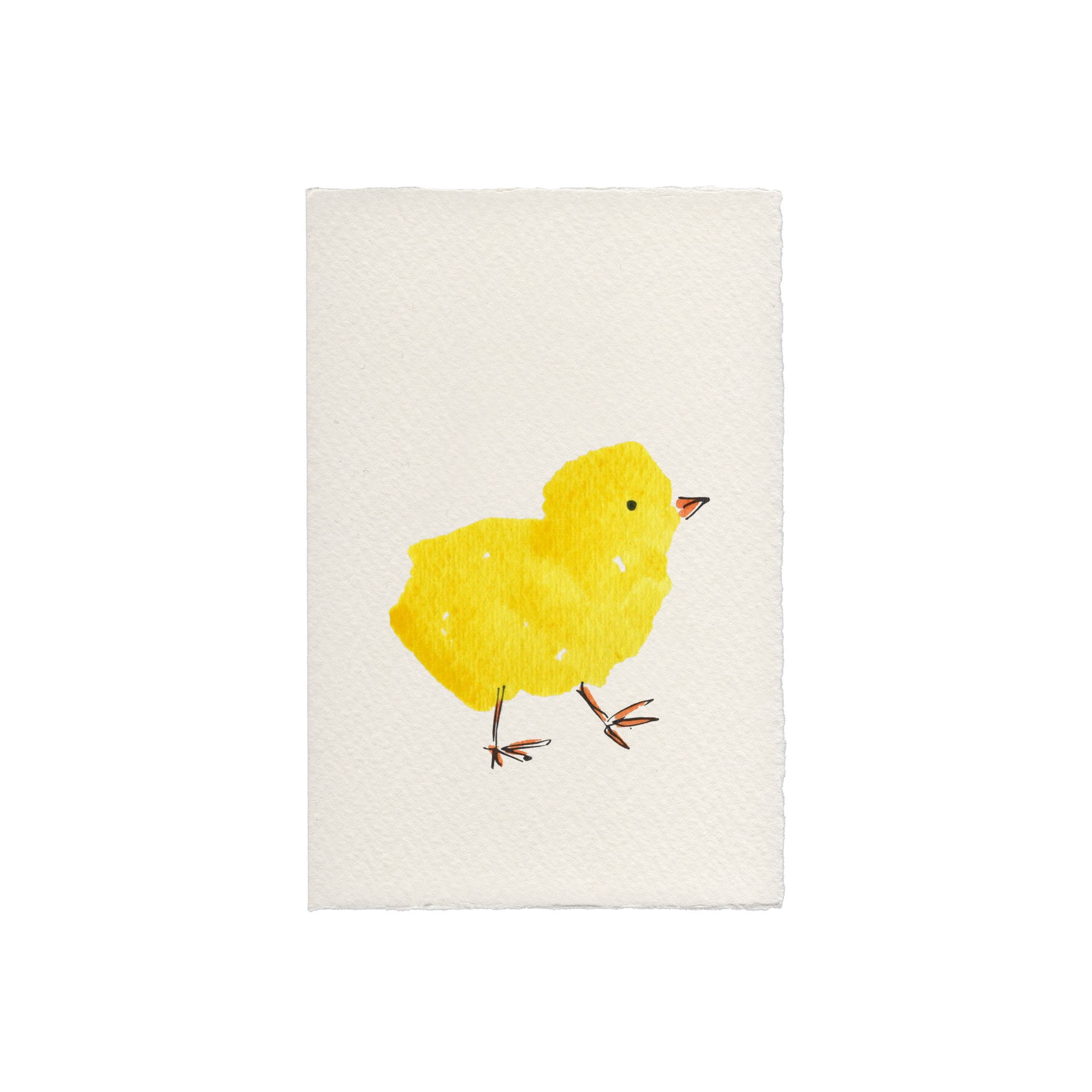 Chick Easter Spring Greetings Card
