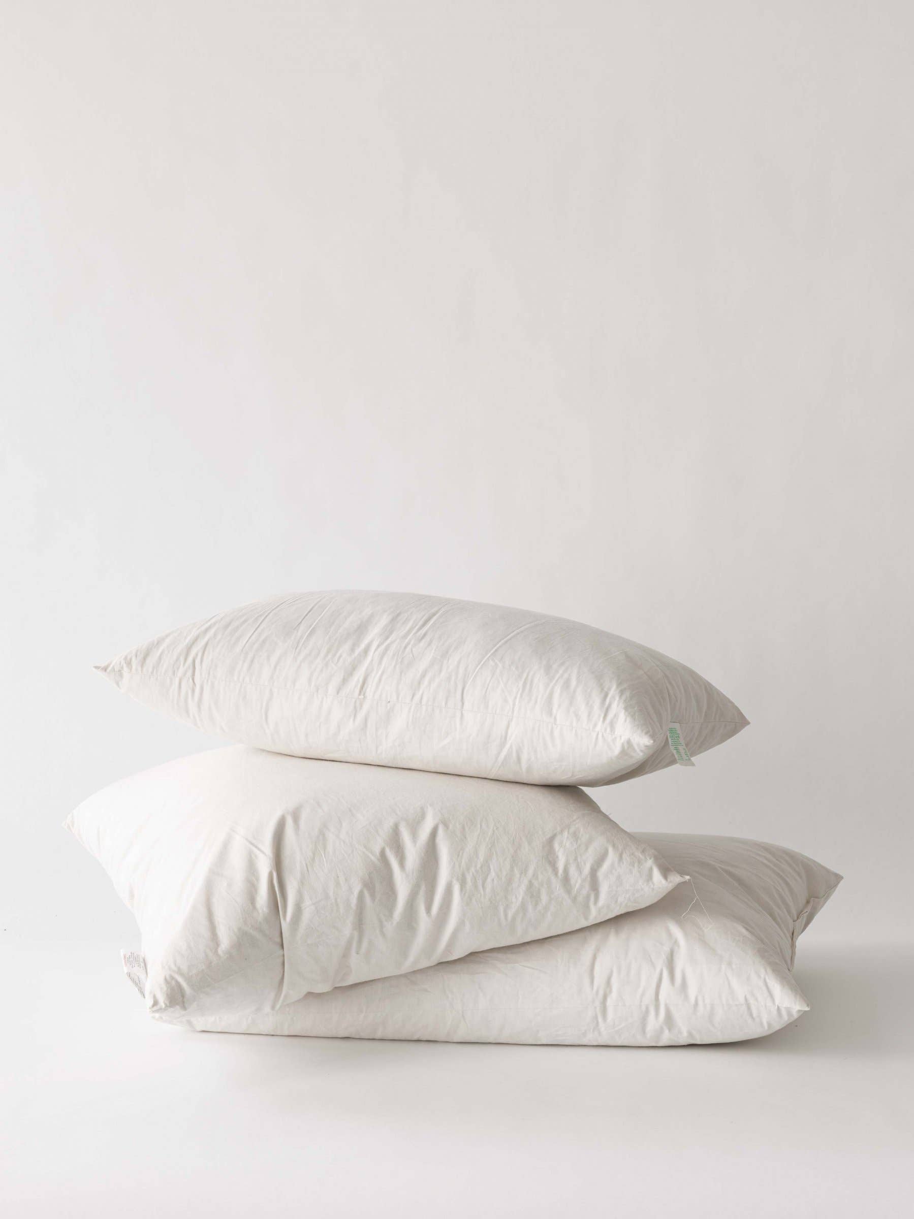 Cushion Insert 50x50