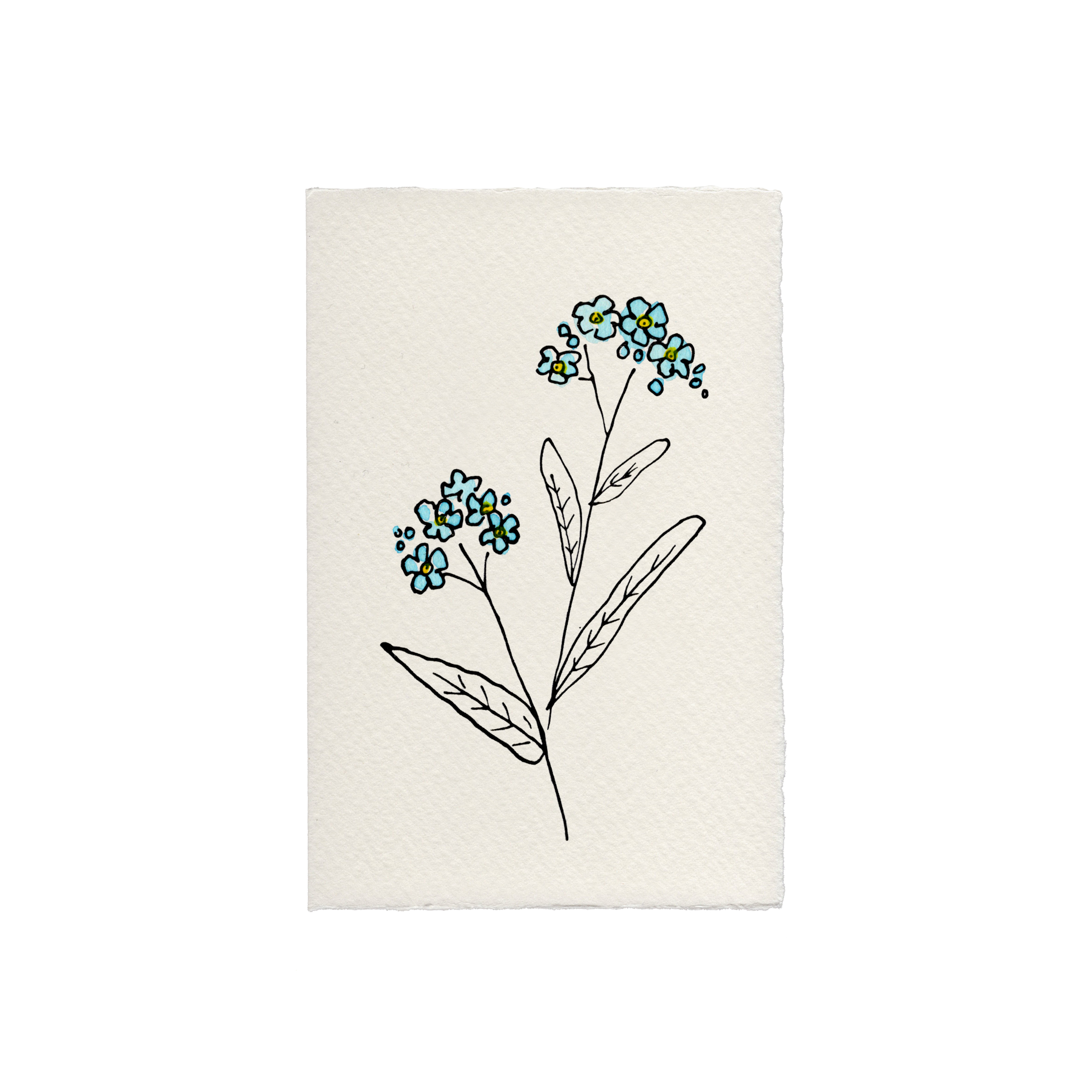 Forget Me Not Spring Card - Scribble & Daub