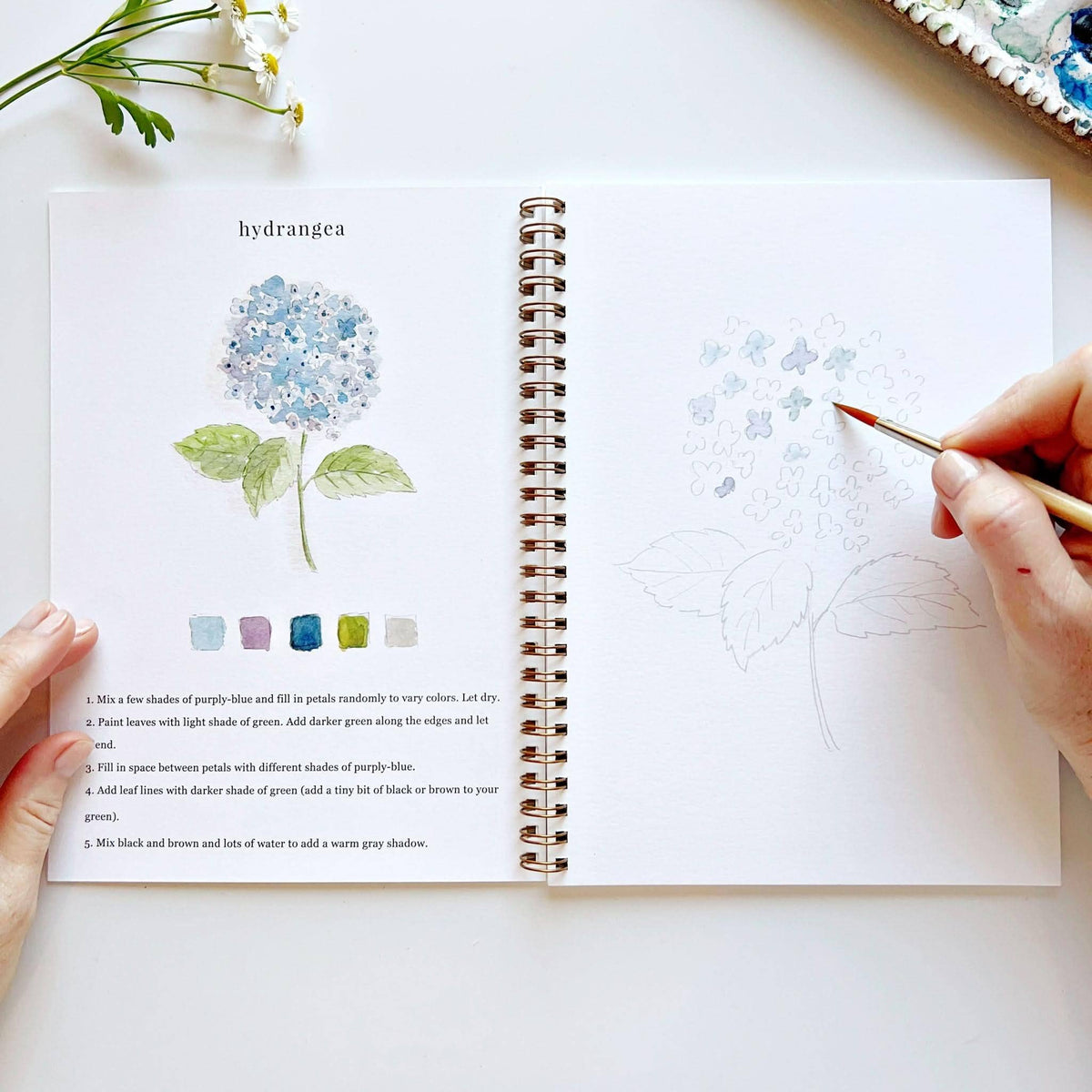 Emily Lex Watercolour Workbook