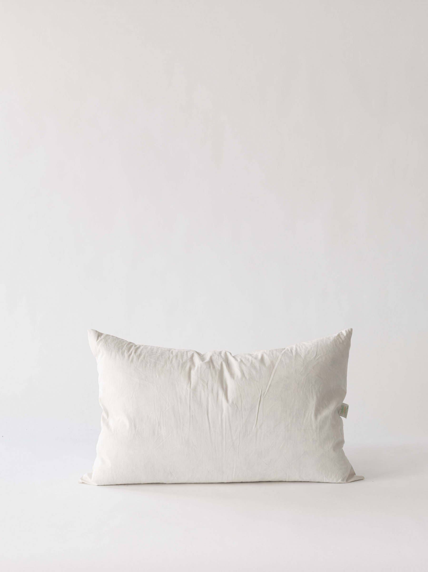 Cushion Insert 40x65