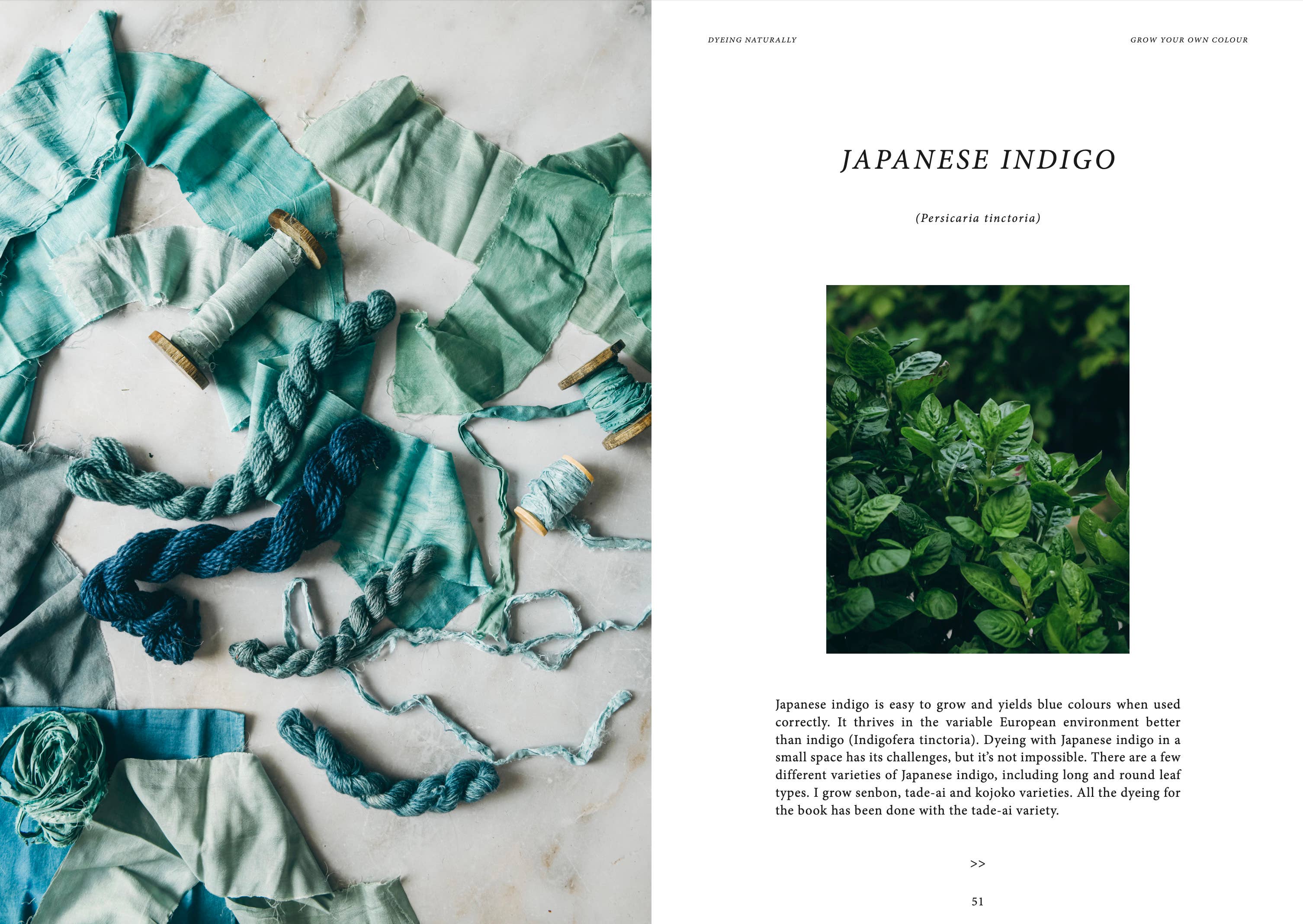 Crafts & Knitting: Dyeing Naturally