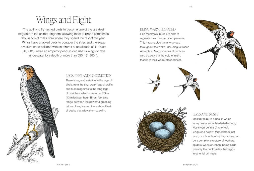 RHS Garden Birds by Mike Weedon (Hardback): Hardback
