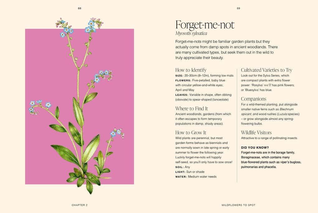 RHS Wildflowers by Gareth Richards (Hardback): Hardback
