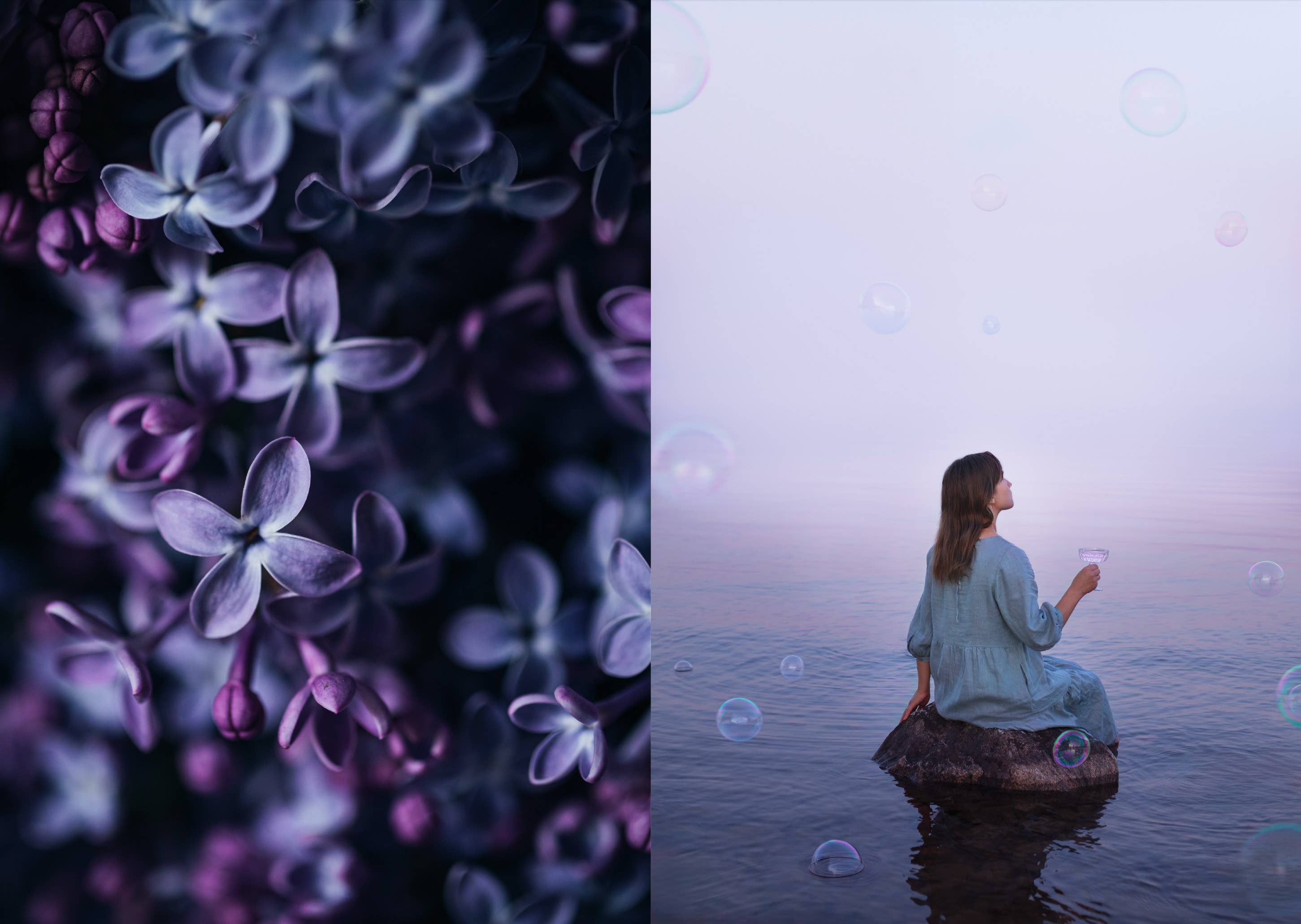 The Art of Fun Dining - Cookbook