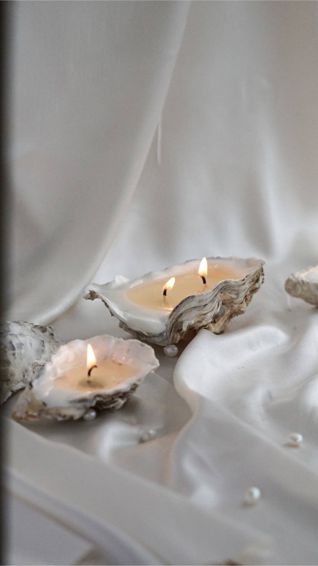 Oyster shell candle - 2 wicks: 1 Pc