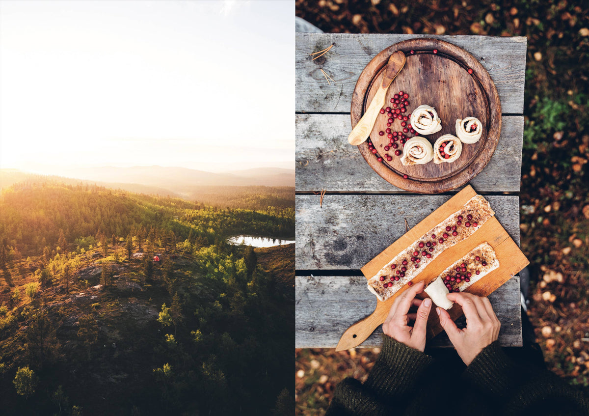 Food in the Wild – Foraging & Outdoor Cooking Cookbook