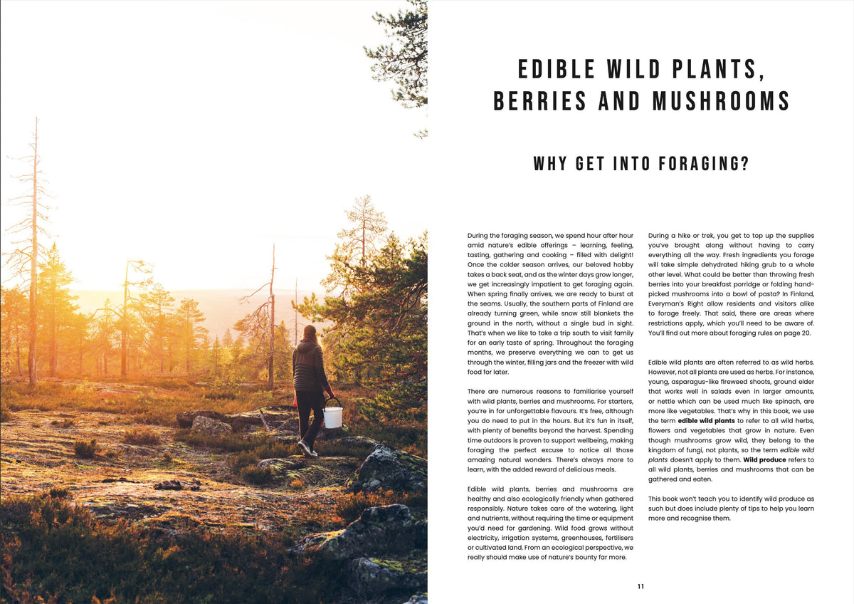Food in the Wild – Foraging & Outdoor Cooking Cookbook