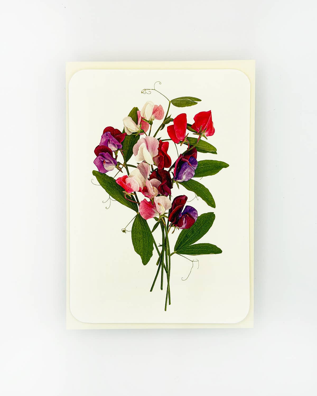 Mixed Sweet Peas Greeting Card | Birthday Card