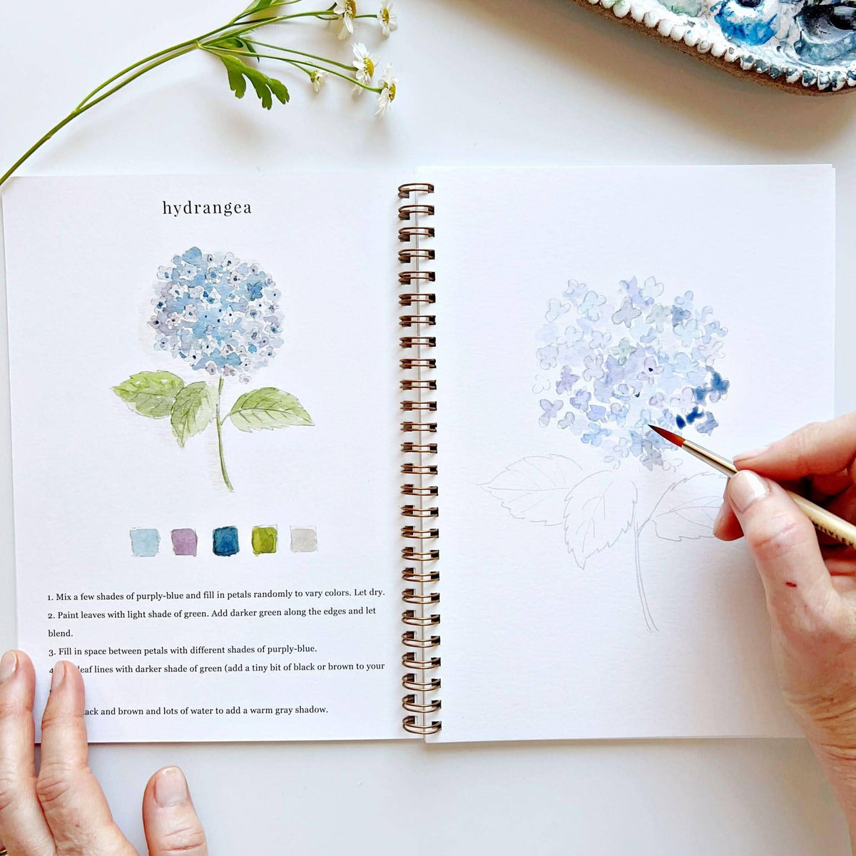 Emily Lex Watercolour Workbook